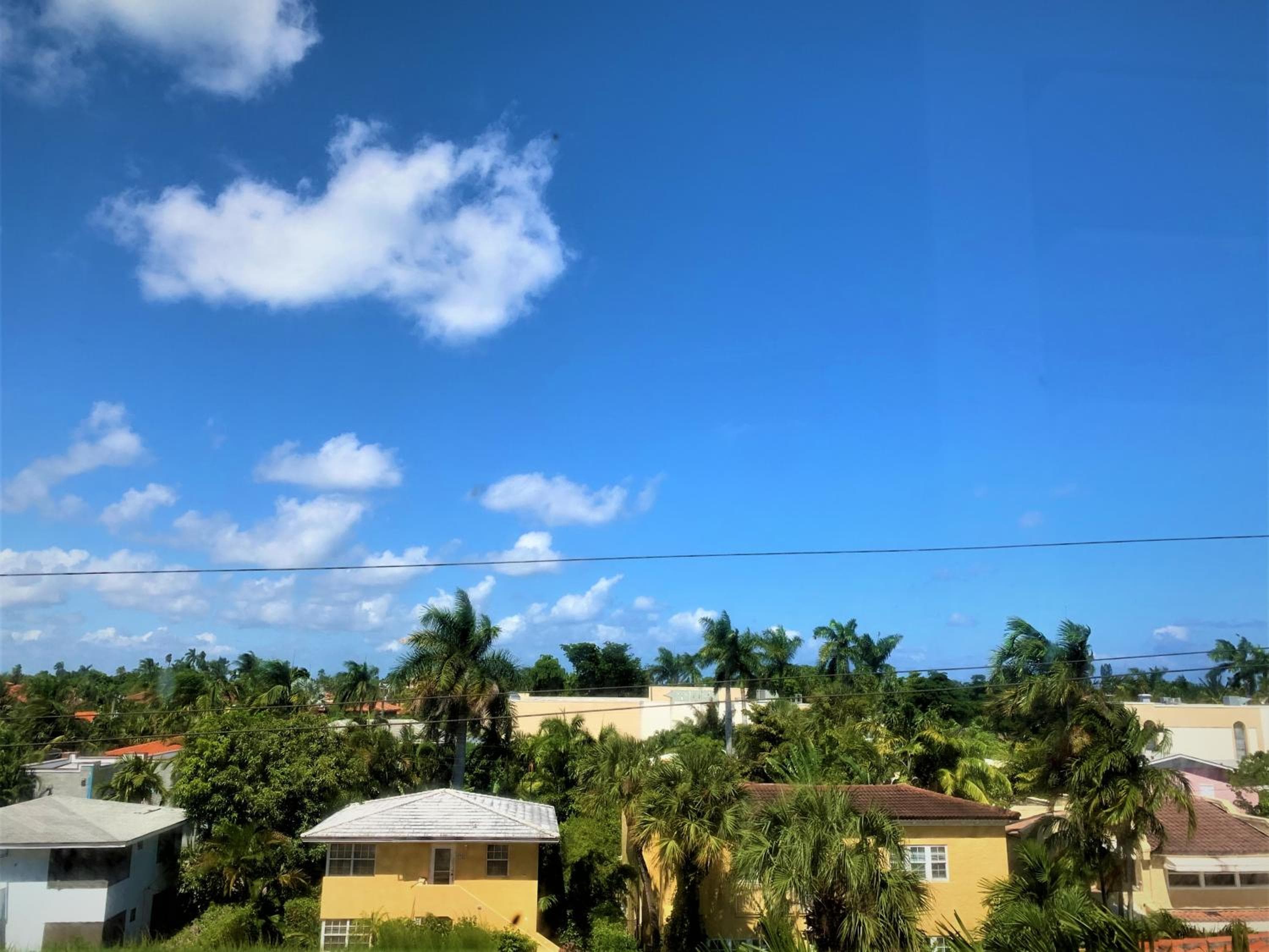 Tropicals of Palm Beach