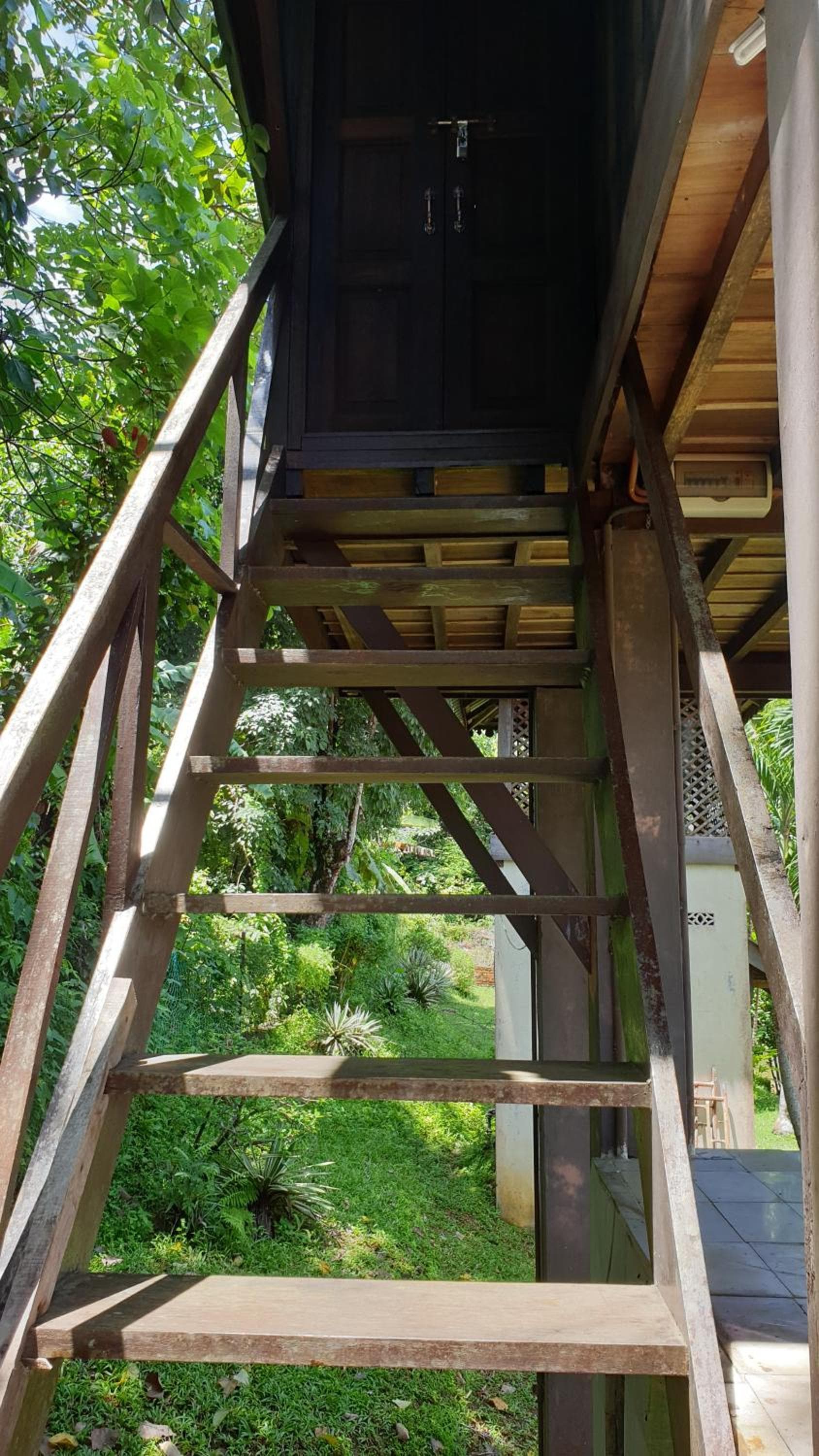 Fox Hill