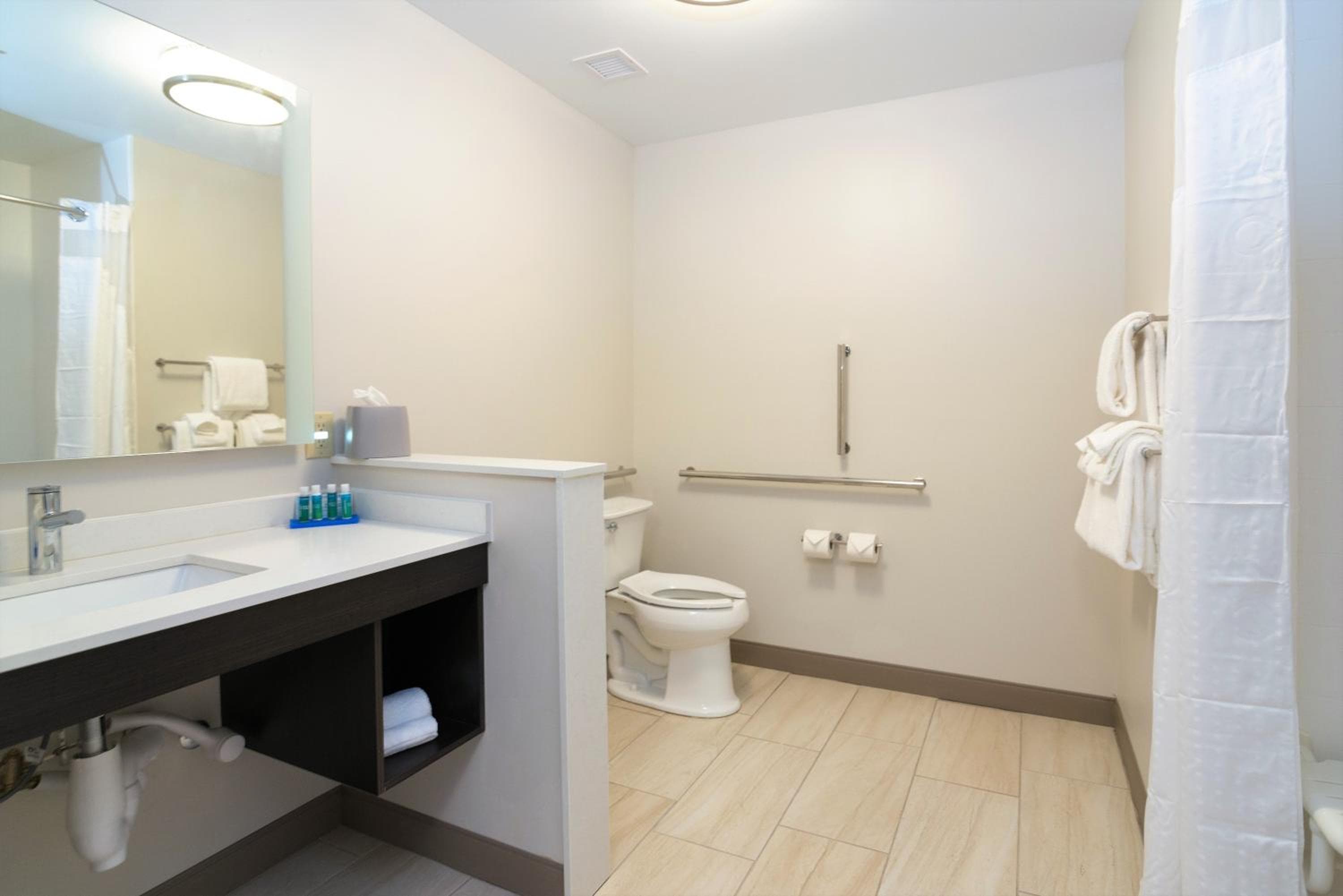 Holiday Inn Express & Suites Allen Park by IHG
