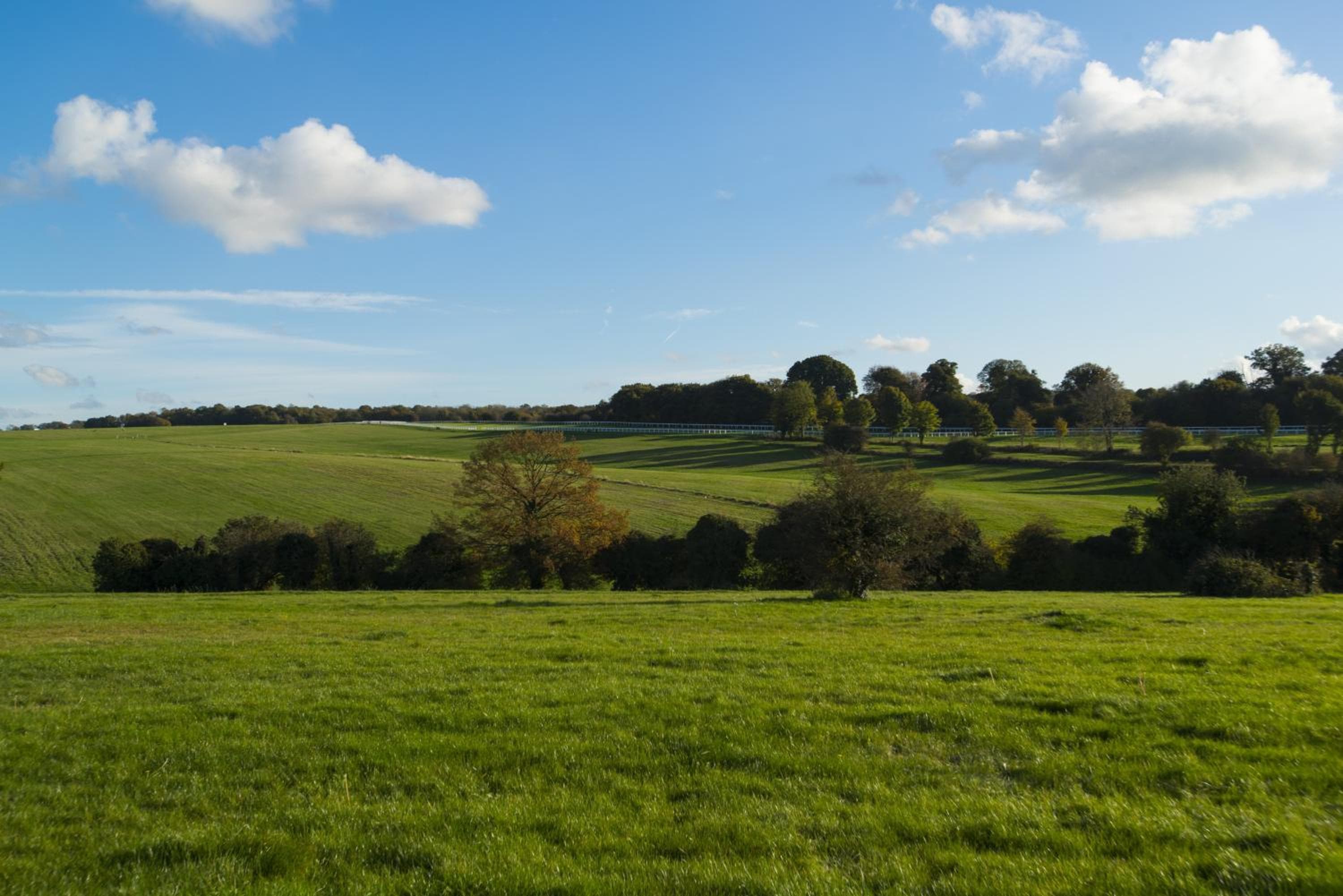Holiday Inn Express London - Epsom Downs by IHG
