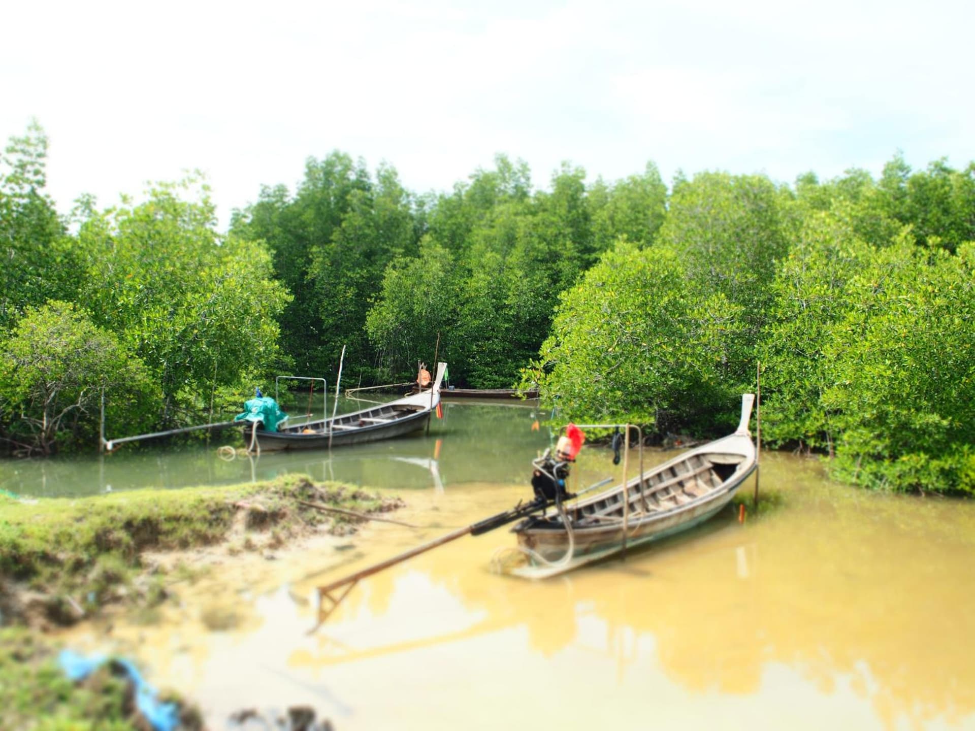 YaoIsland Resort and Farm
