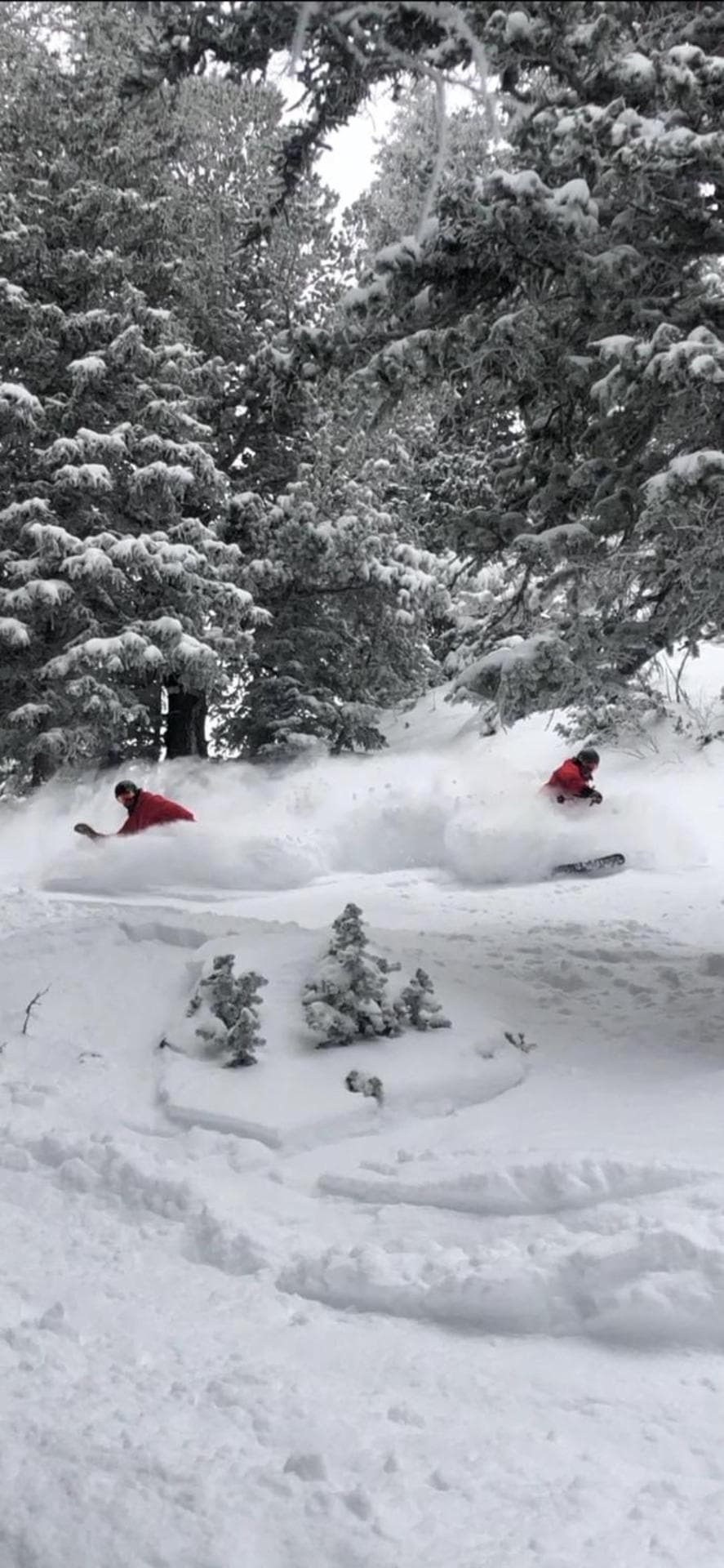 Inn at Snowbird