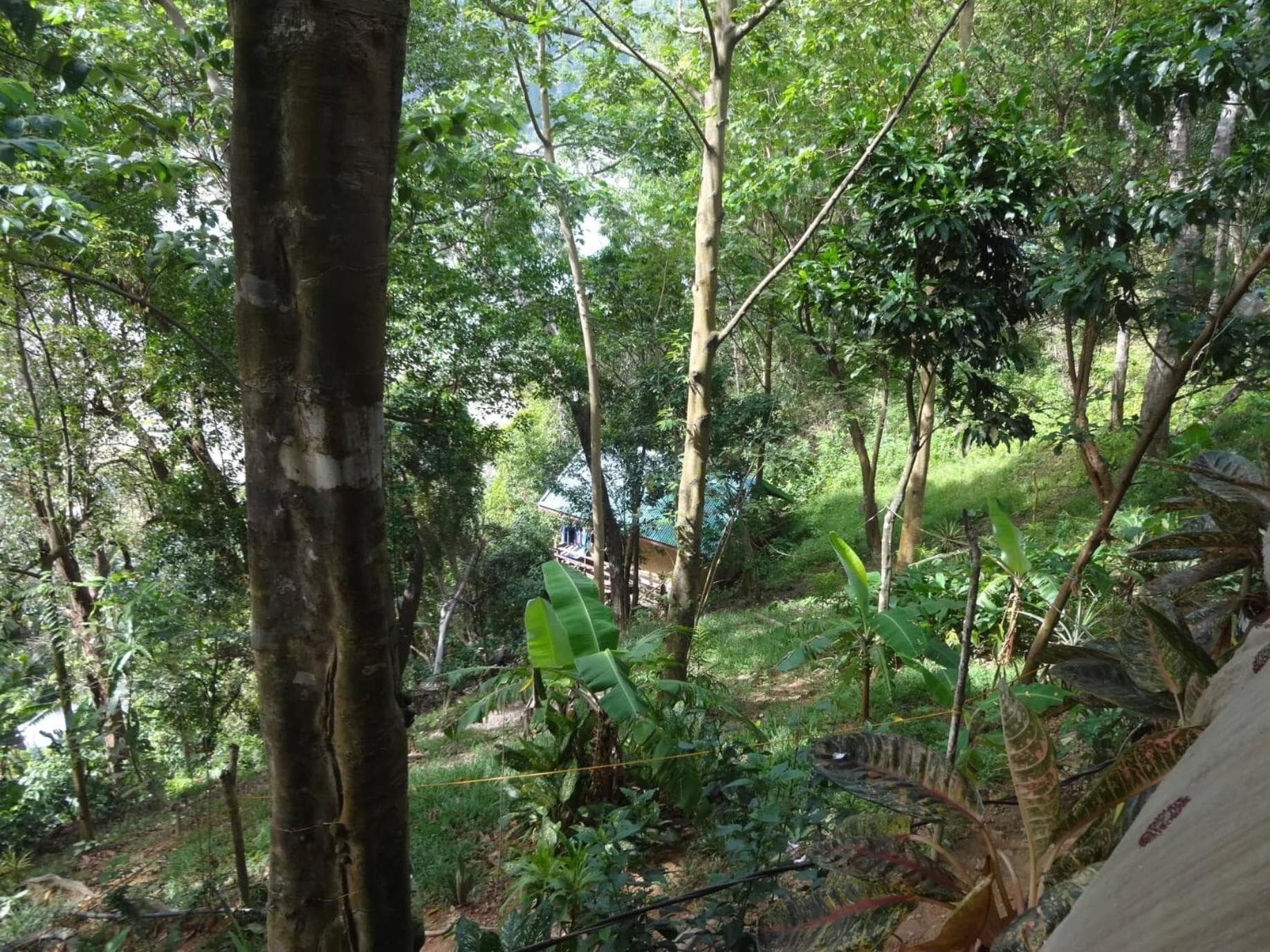 Camp Talusi Hilltop Overlooking