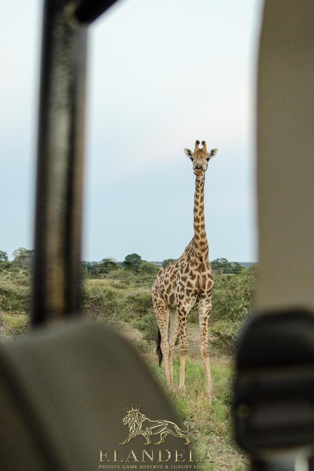 Elandela Private Game Reserve and Luxury Lodges Pty Ltd