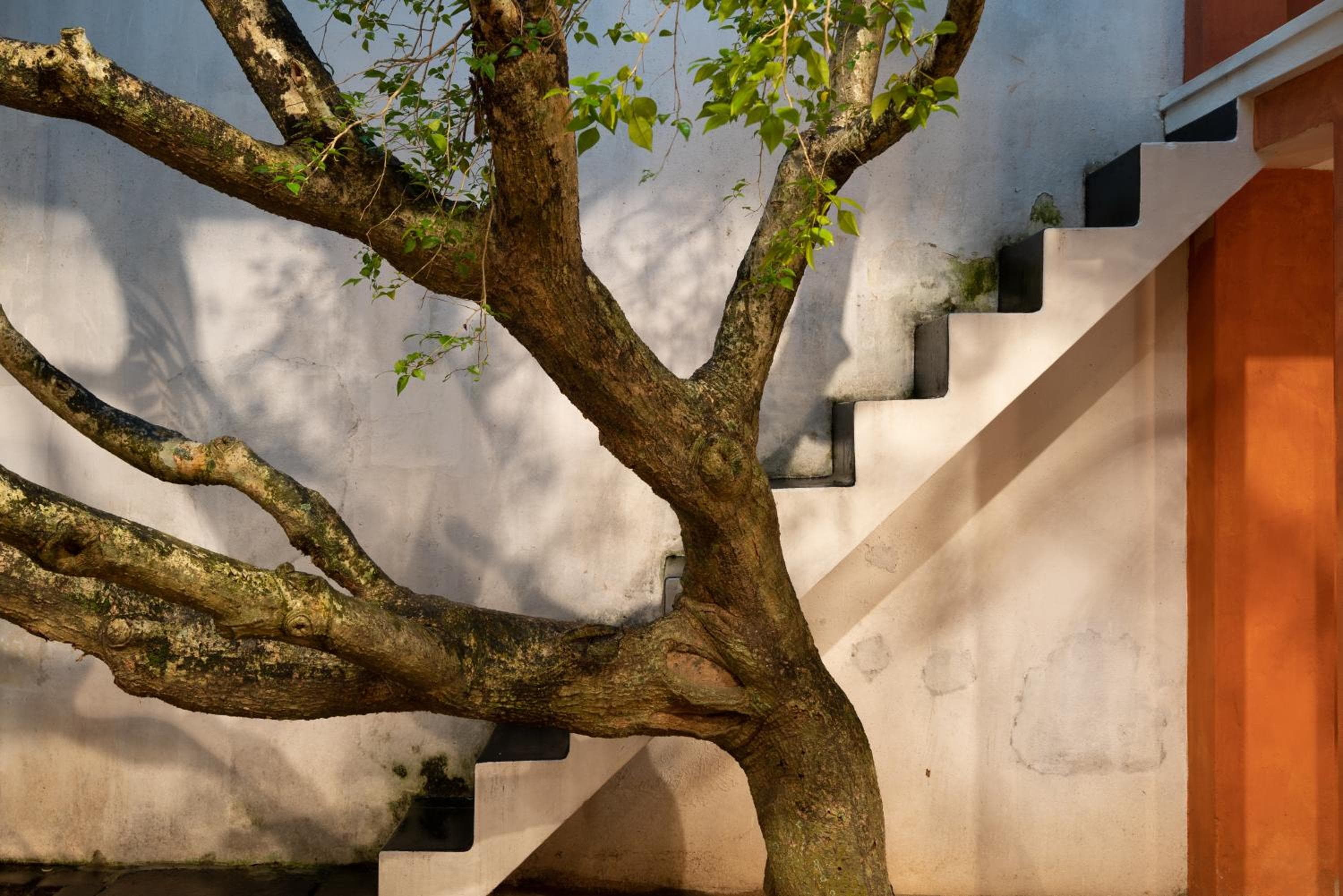 De Saram House by Geoffrey Bawa