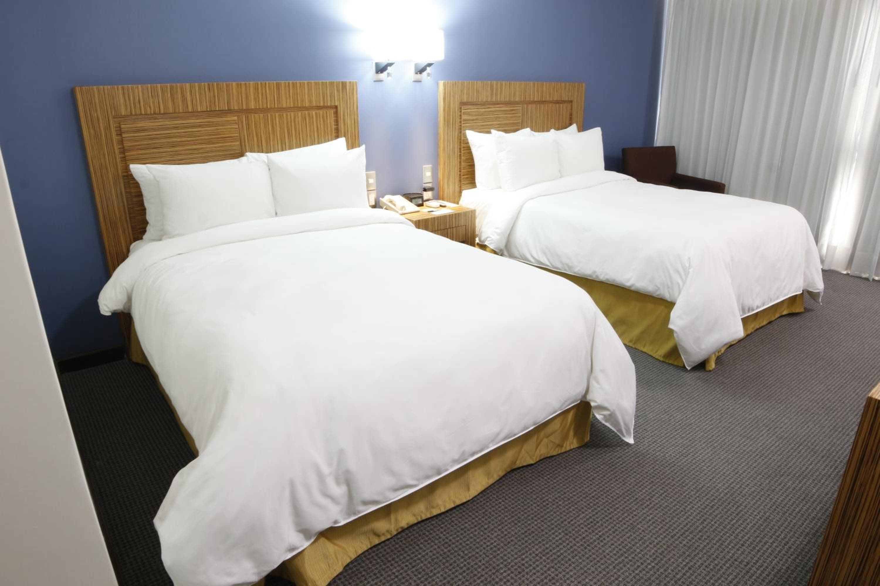 Radisson Hotel & Convention Center Toluca