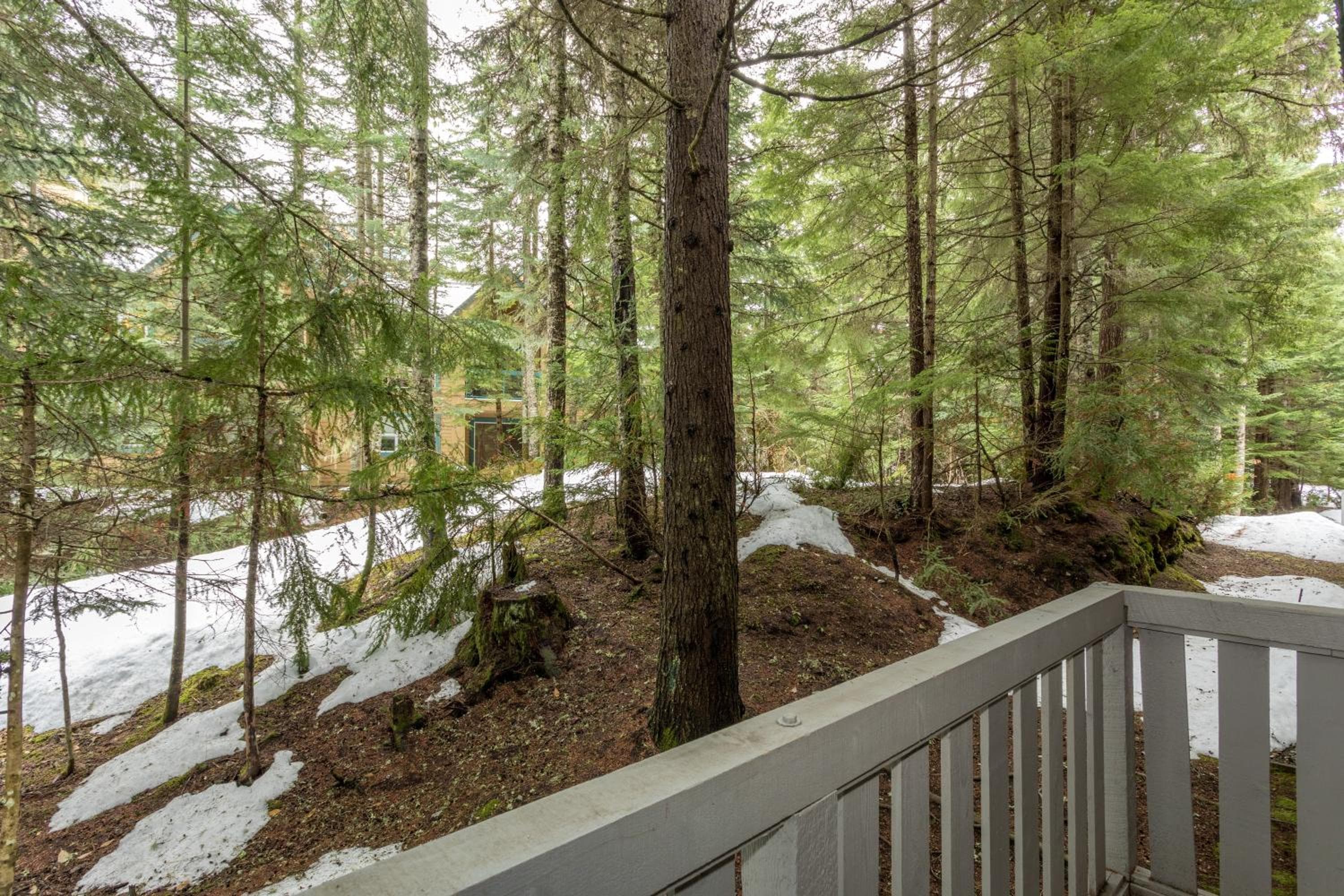 Forest Trails by Whistler Premier