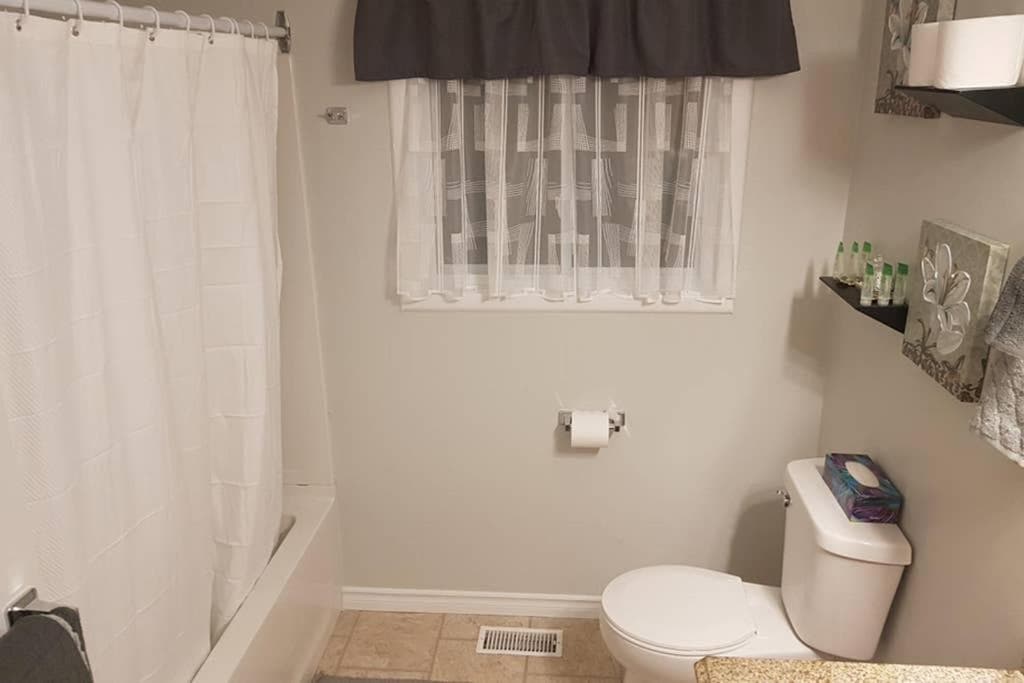 Sarnia Central Six - BIG 6 BR 2 BA - patio and BBQ
