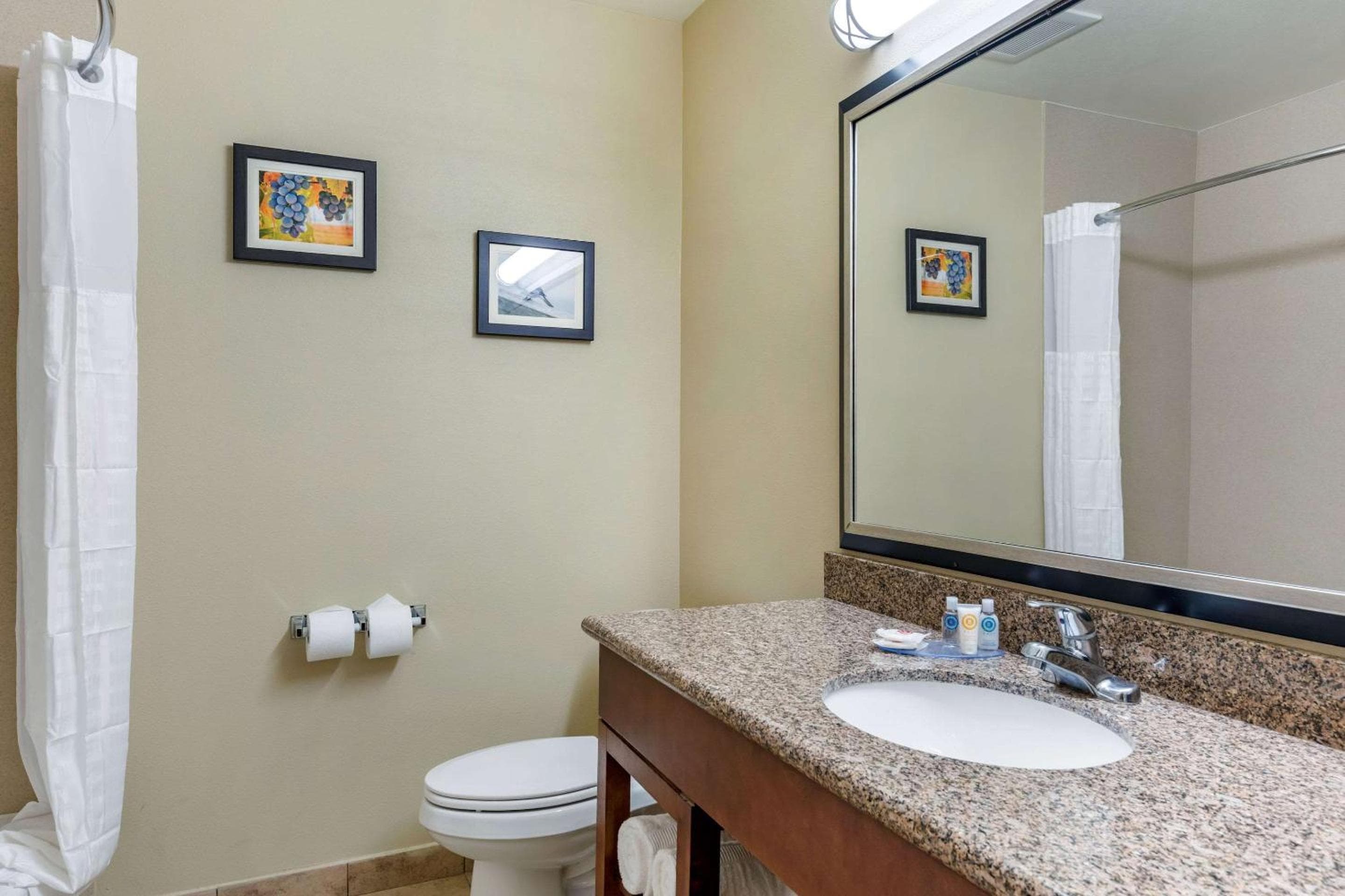 Comfort Inn & Suites San Bernardino