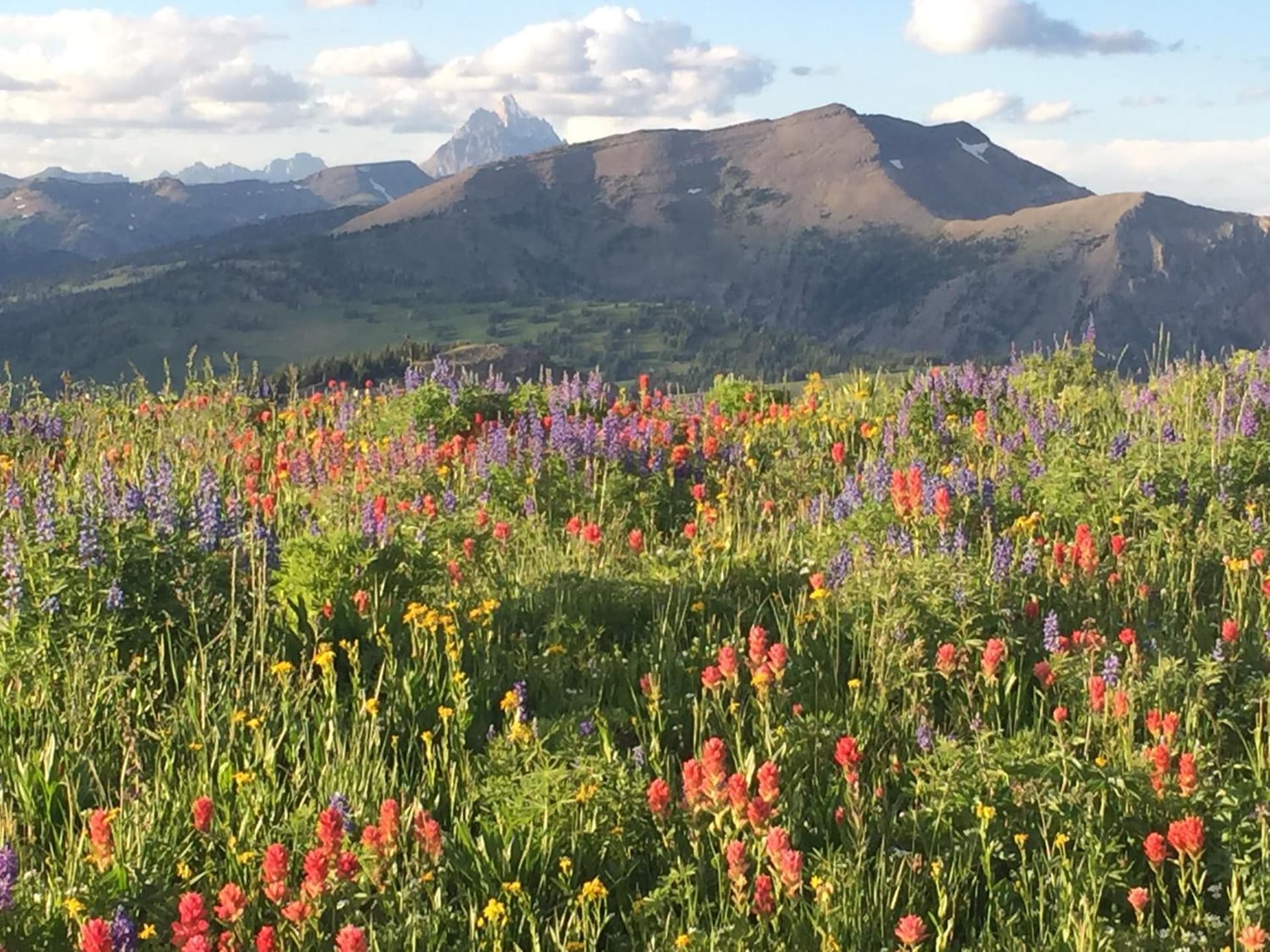 Trail Creek Ranch