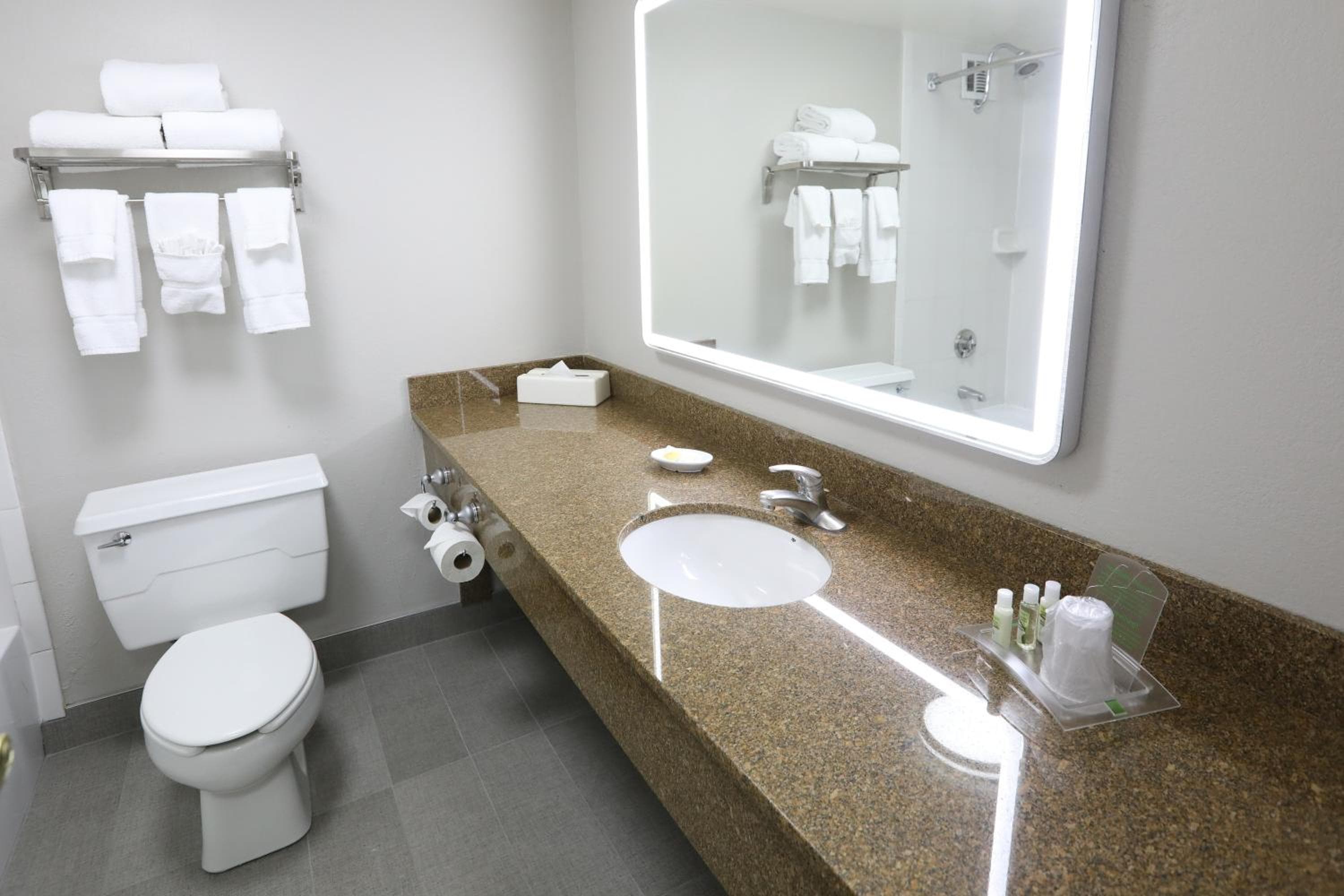 Holiday Inn O'Hare Area by IHG