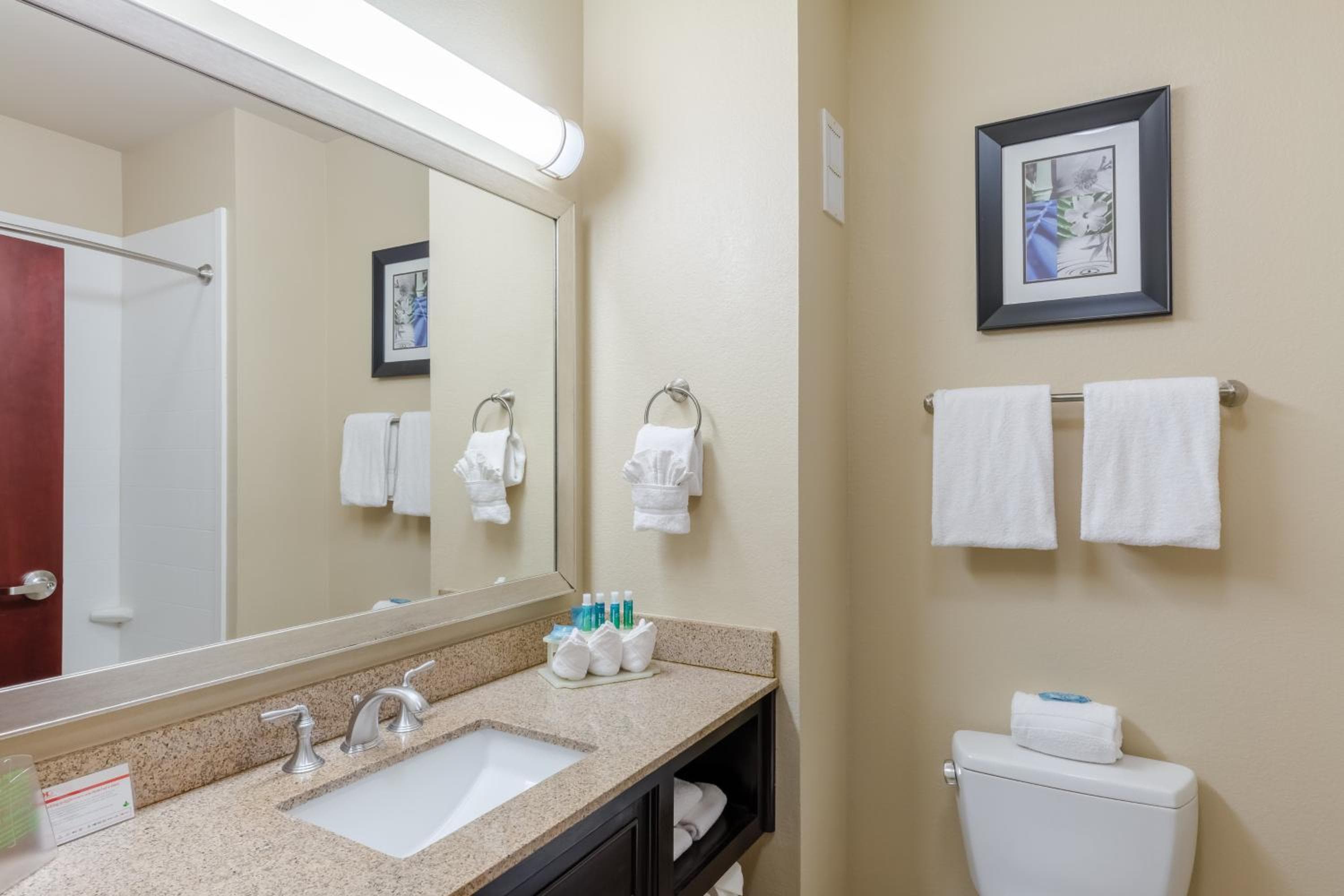 Holiday Inn Express Hotel & Suites Dallas West by IHG