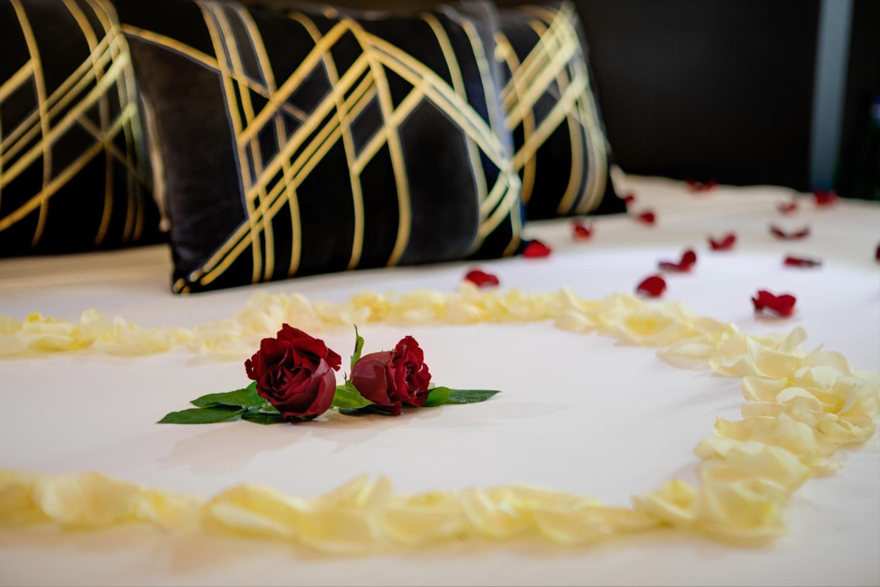 Dharma Boutique Hotel & SPA