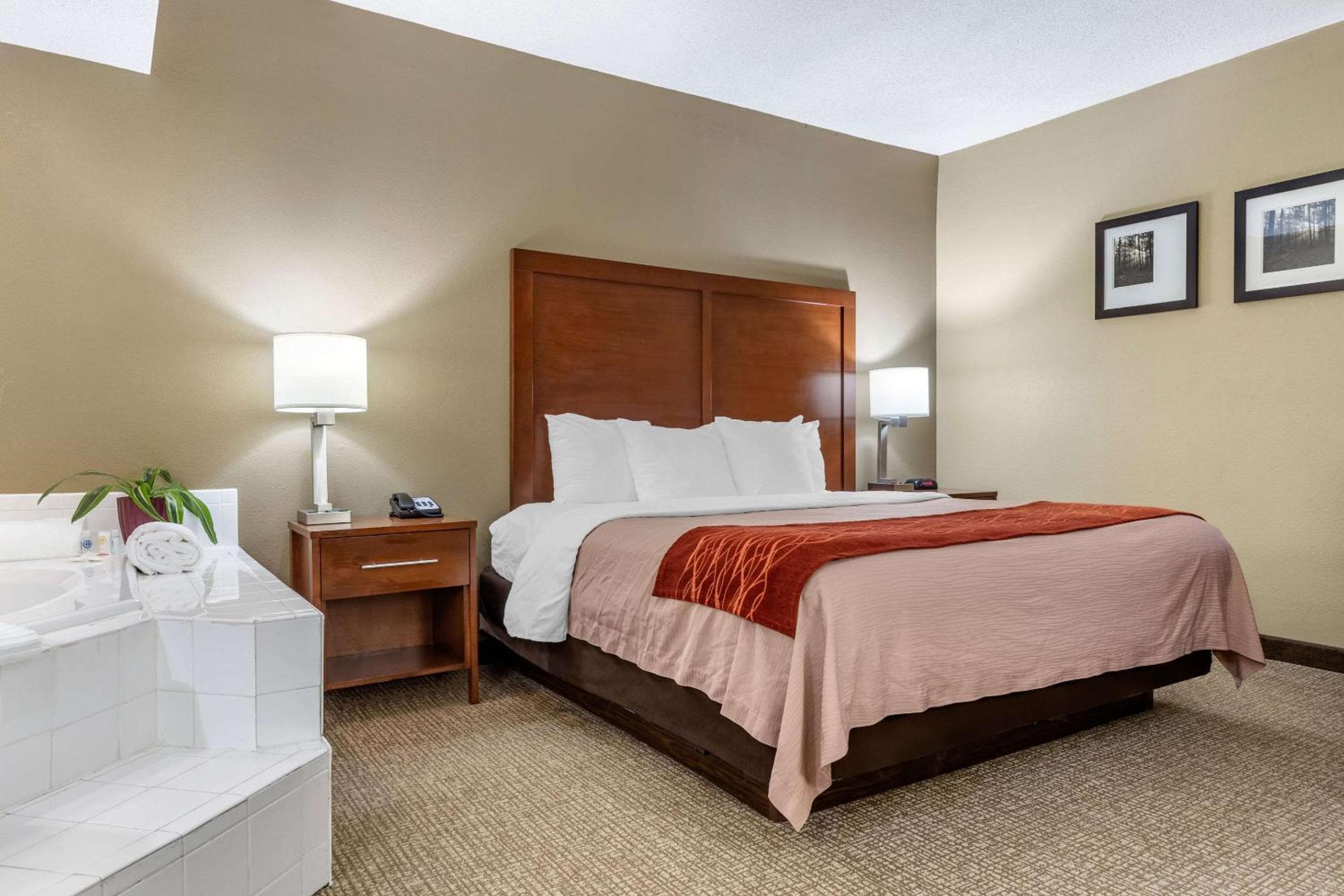 Comfort Inn Blythewood - North Columbia