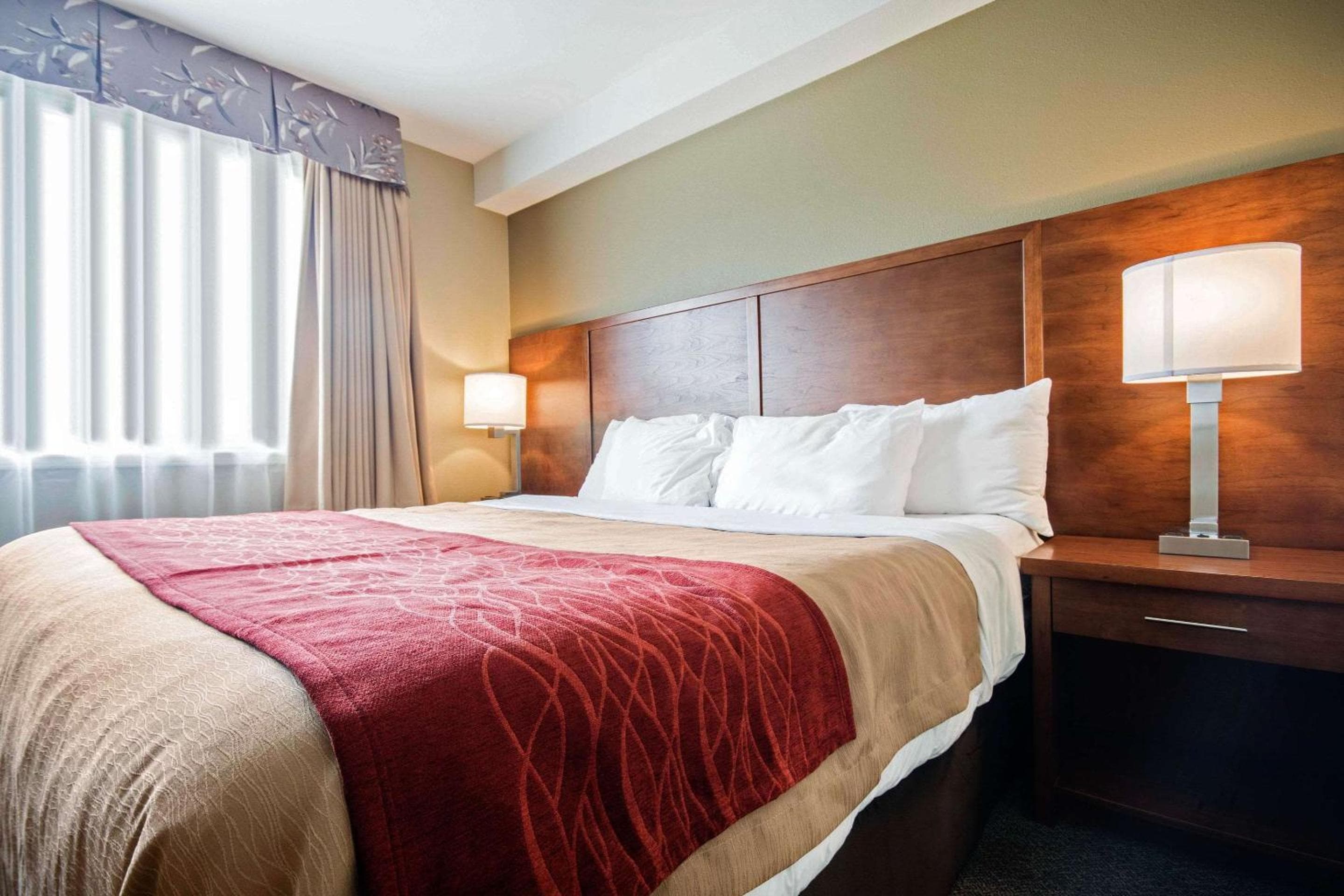 Comfort Inn & Suites
