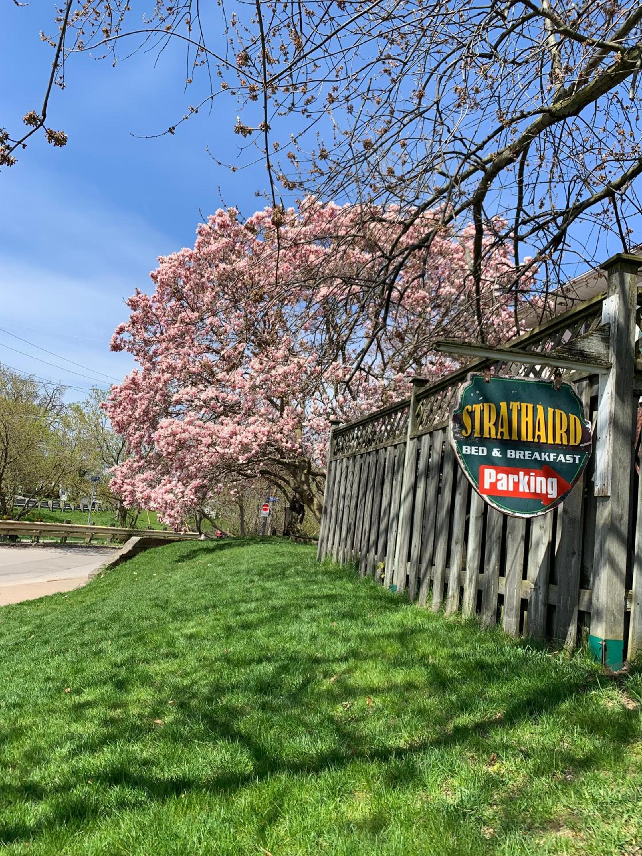 Strathaird Bed and Breakfast