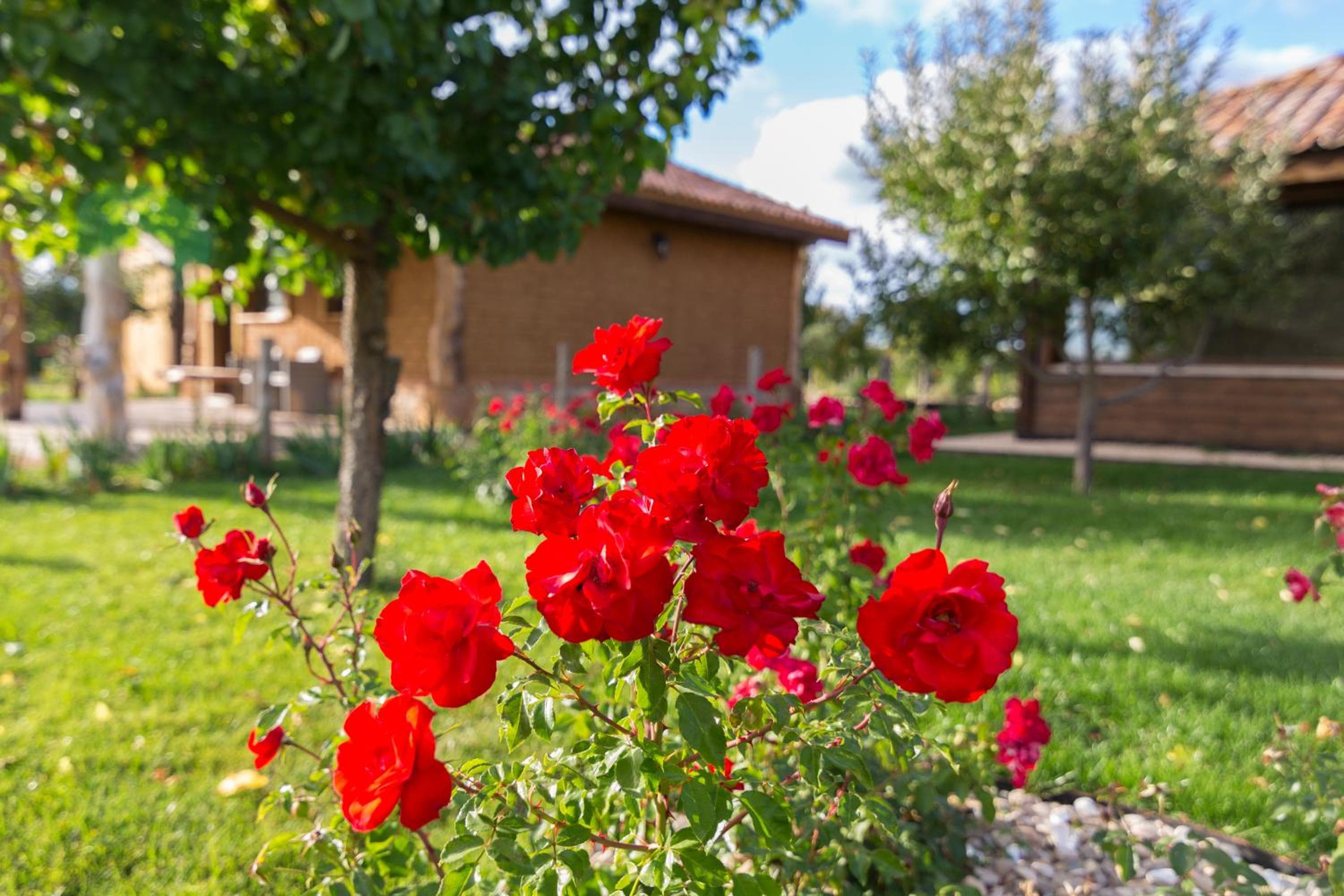 El BURGO DE OSMA ALOJAMIENTO RURAL VILLA BAGH