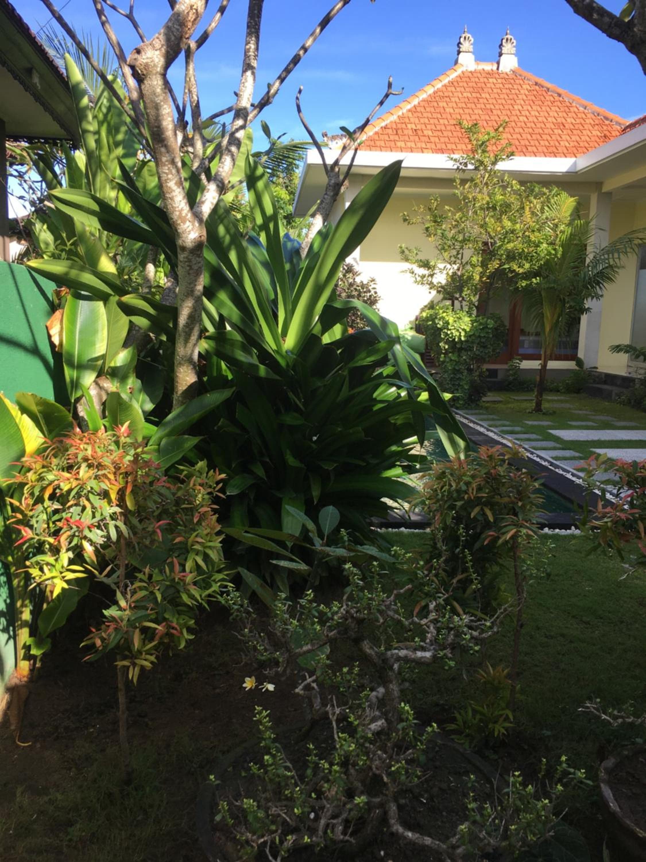 Kubu Green