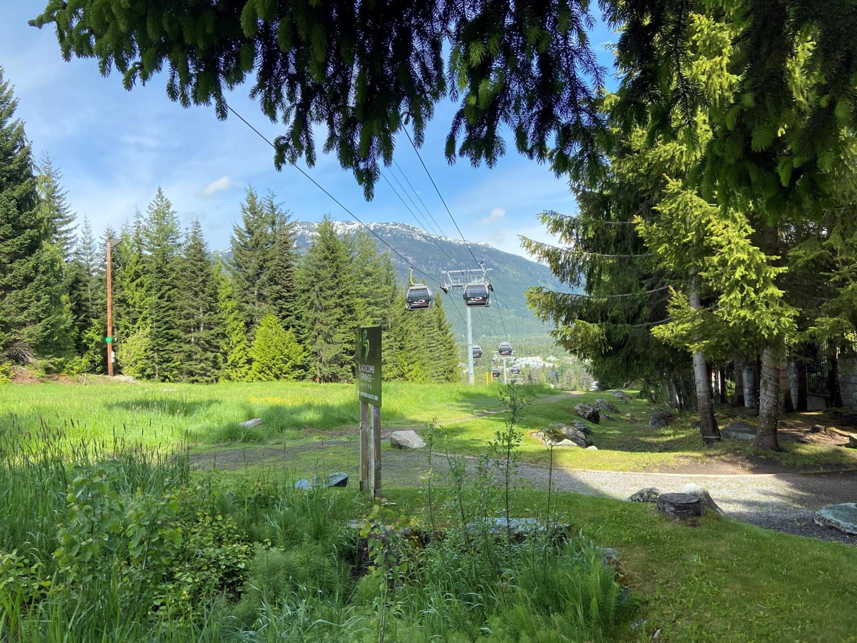 Blackcomb Springs Suites by CLIQUE