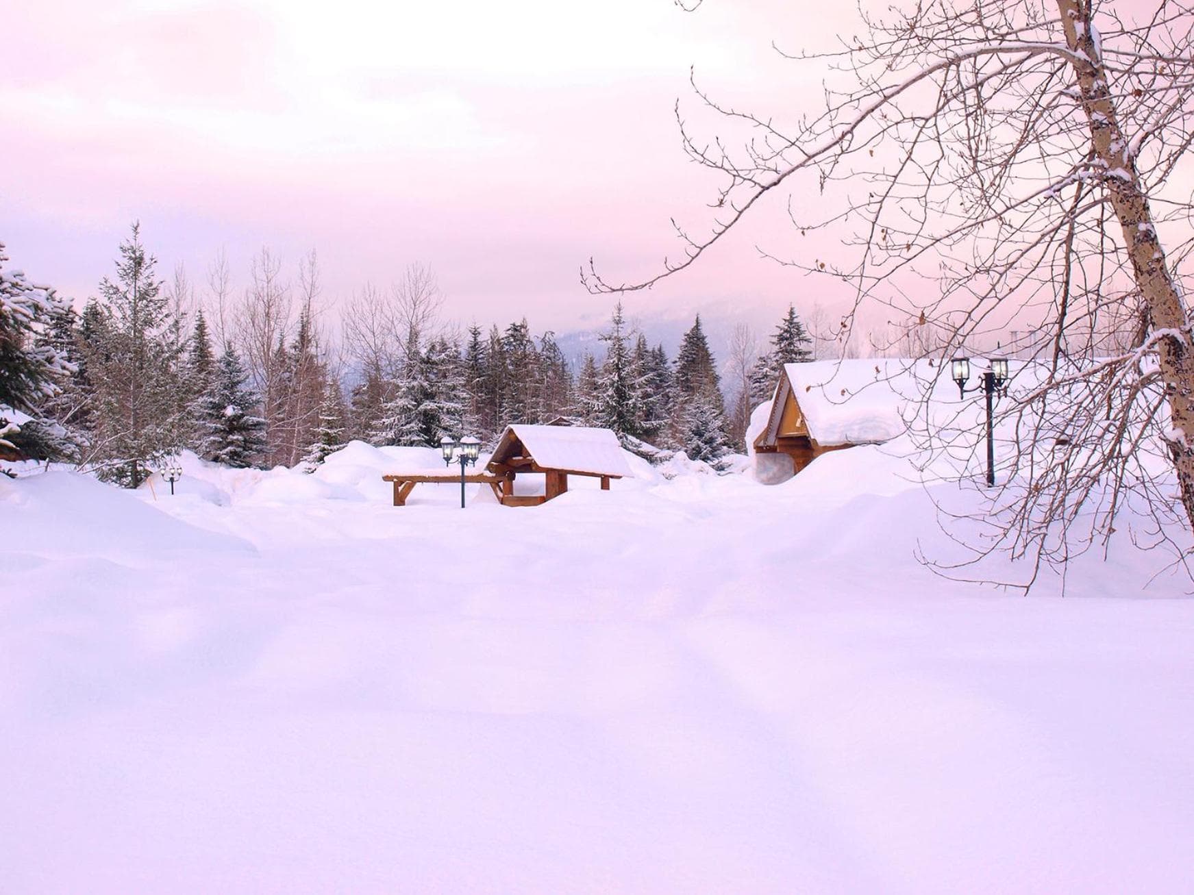Glacier House Hotel & Resort