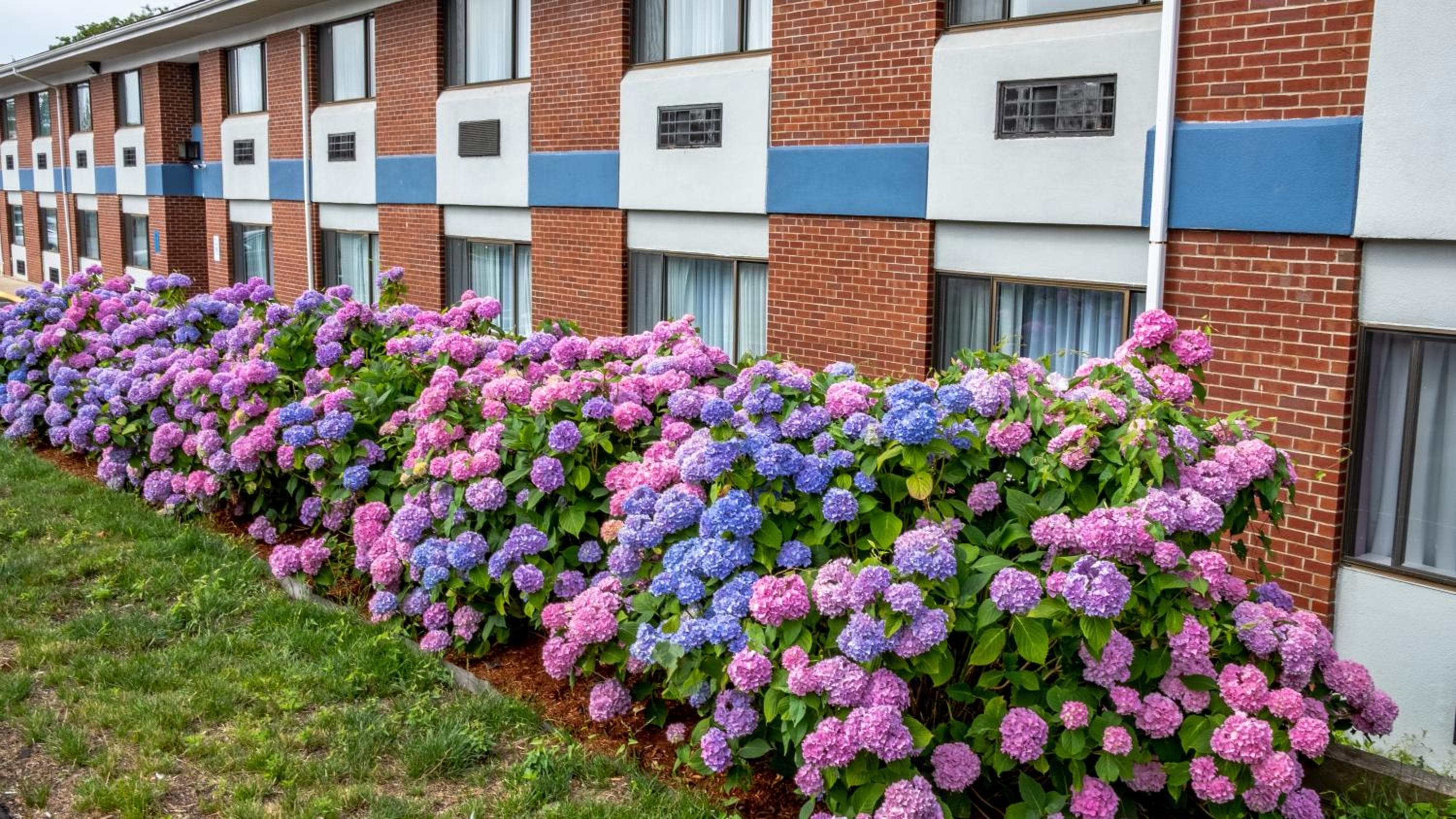Hyannis Plaza Hotel