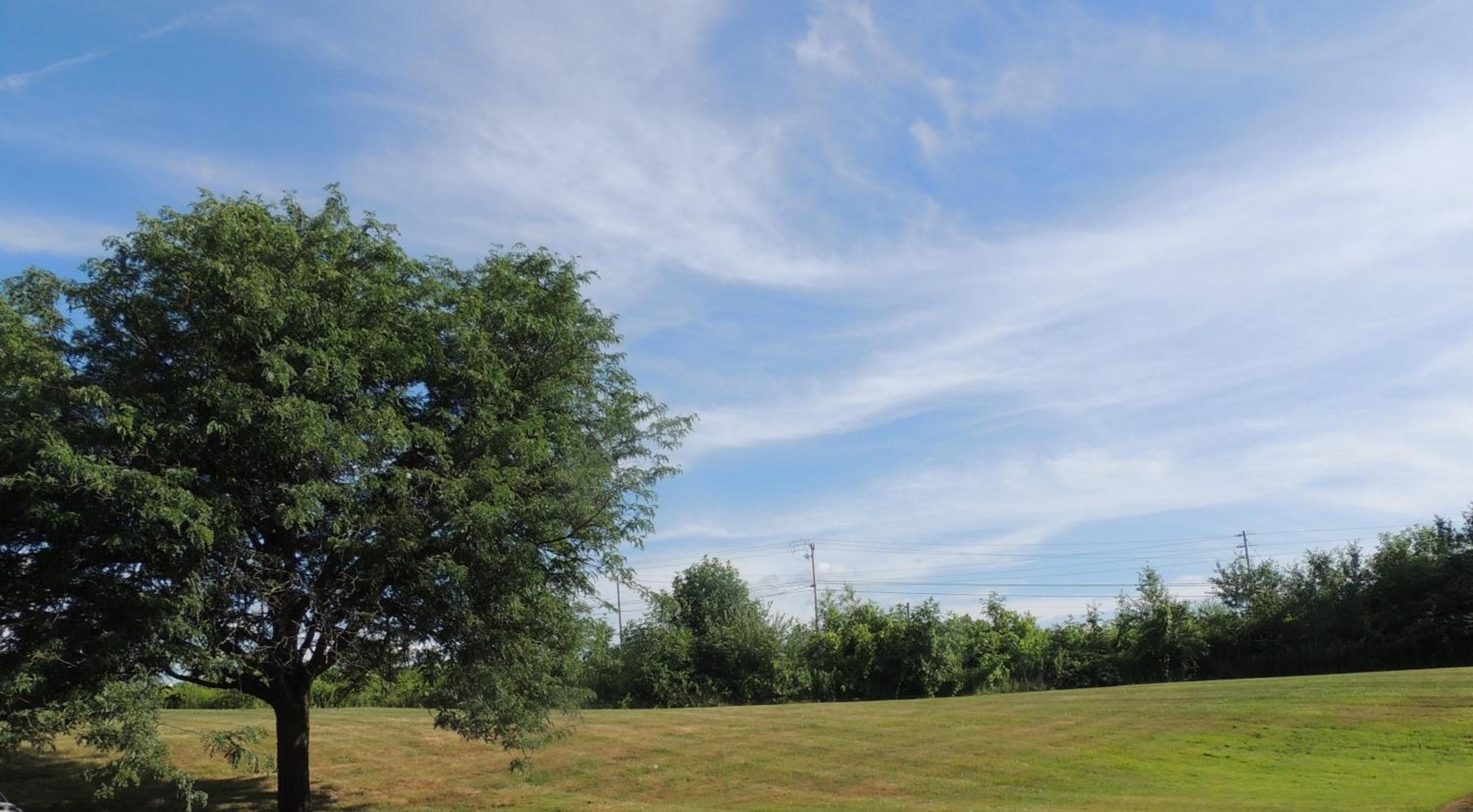 Quality Inn & Suites Syracuse Fairgrounds