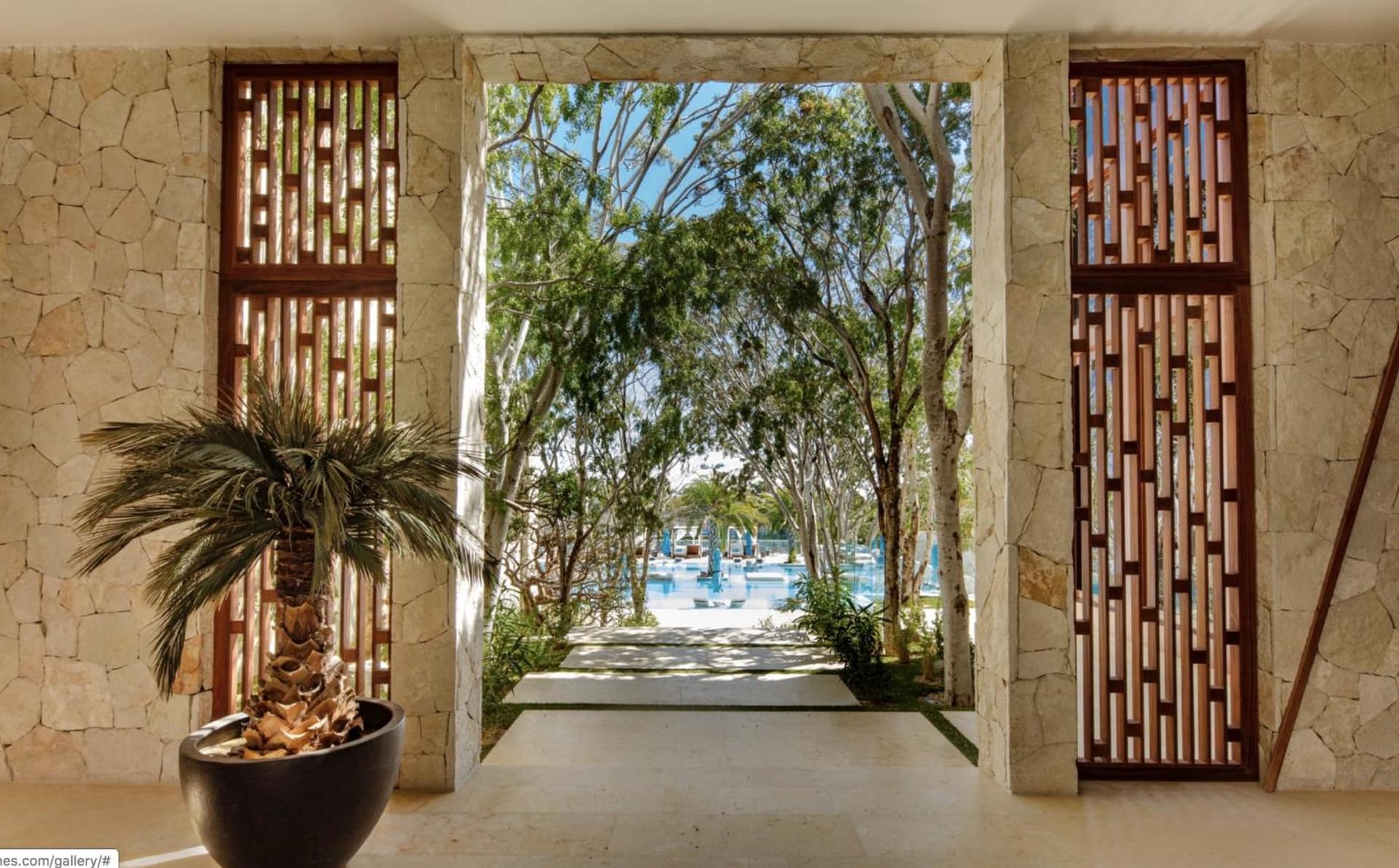 Bohari Palmilla
