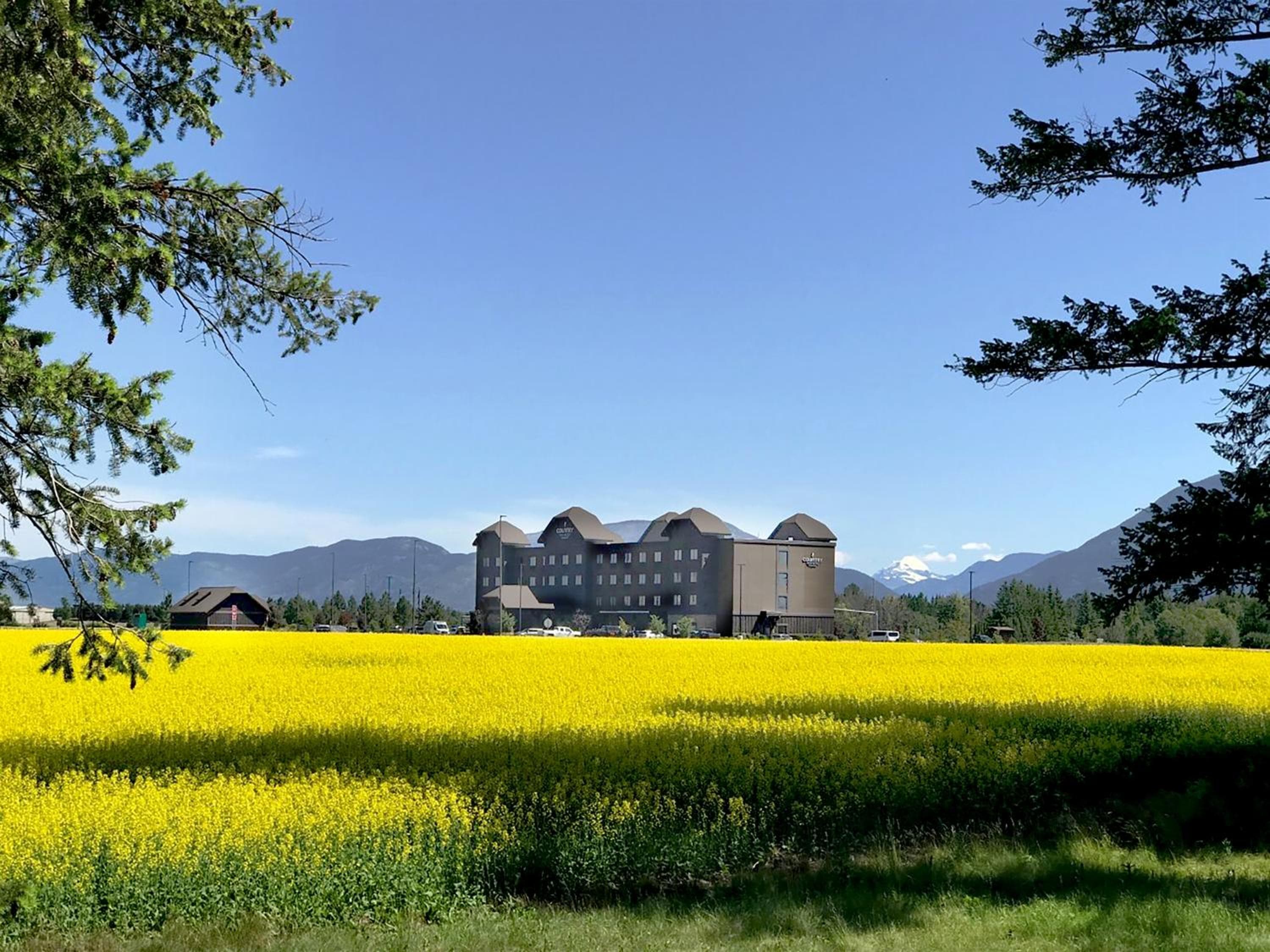 Glacier International Lodge