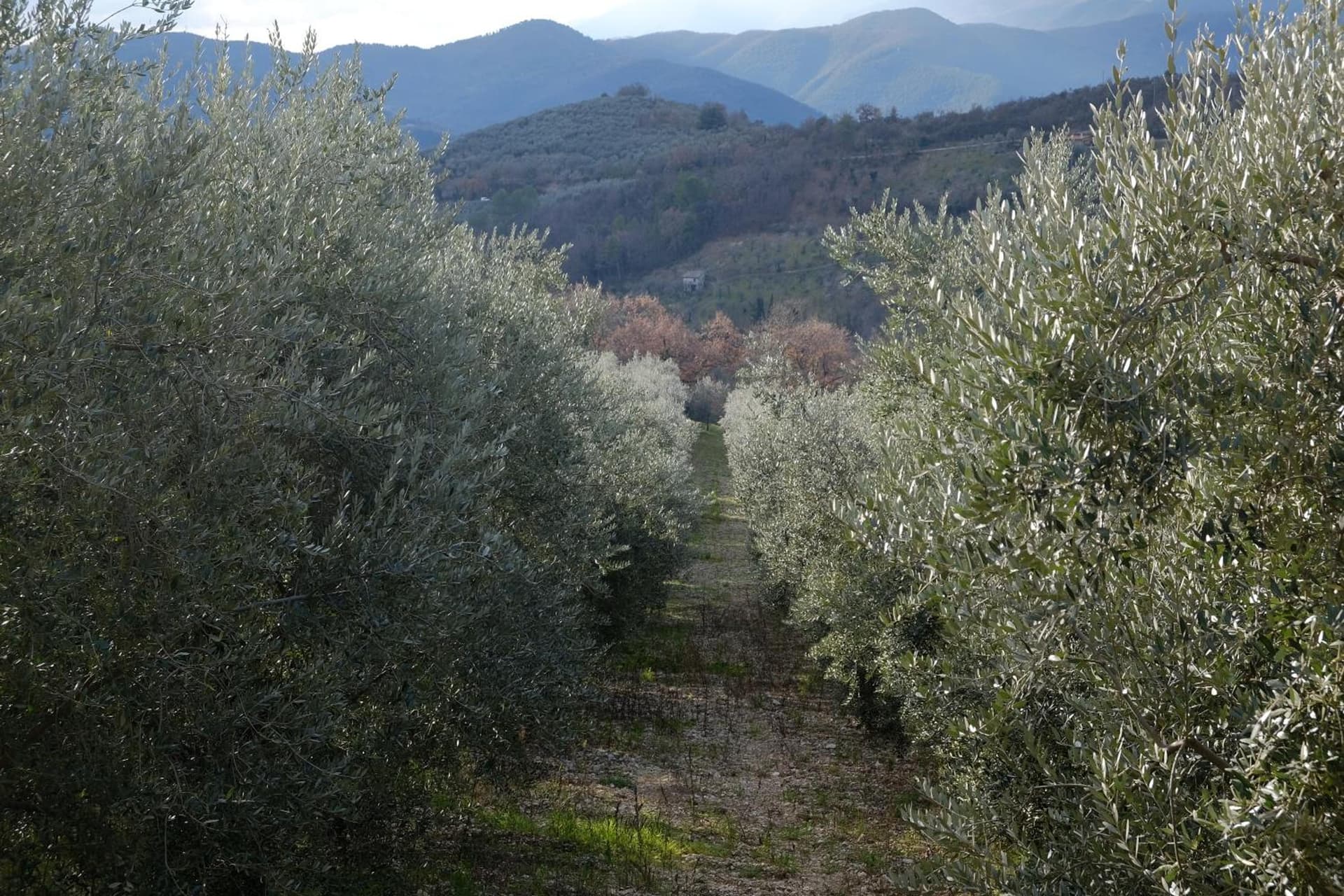 Agriturismo Il Casaletto