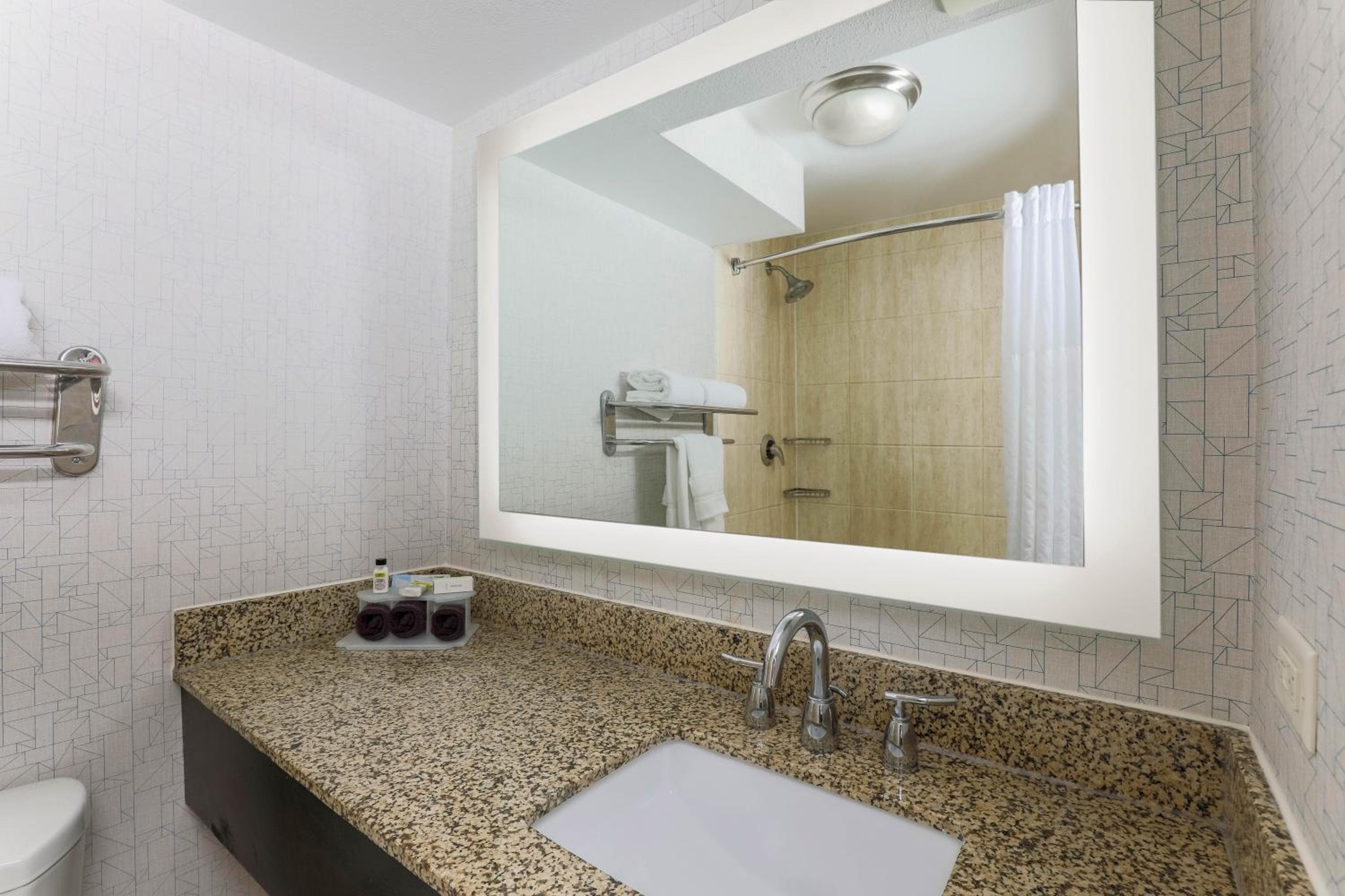 Holiday Inn Express & Suites Fort Worth Downtown by IHG