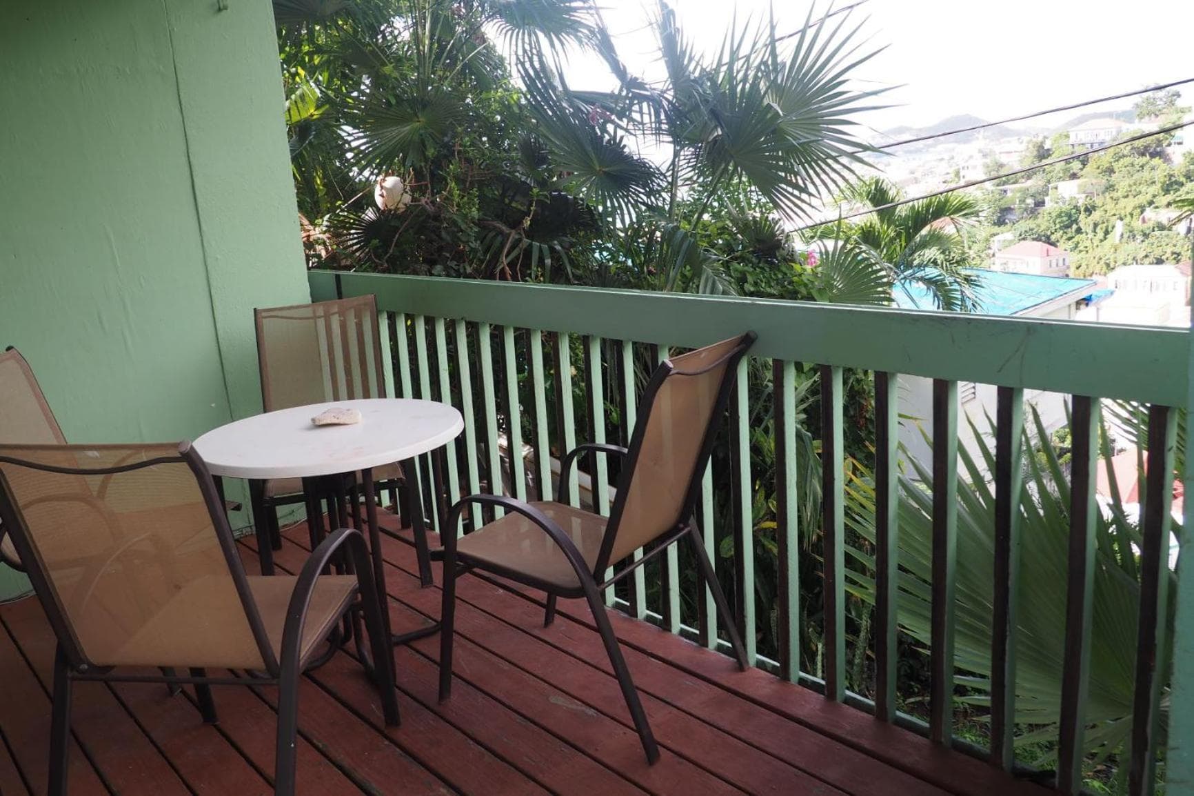 The Green Iguana Hotel