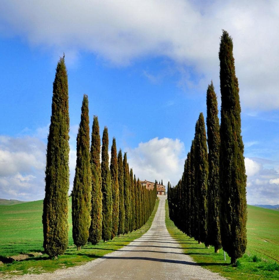 Val d'Orcia nel Borgo