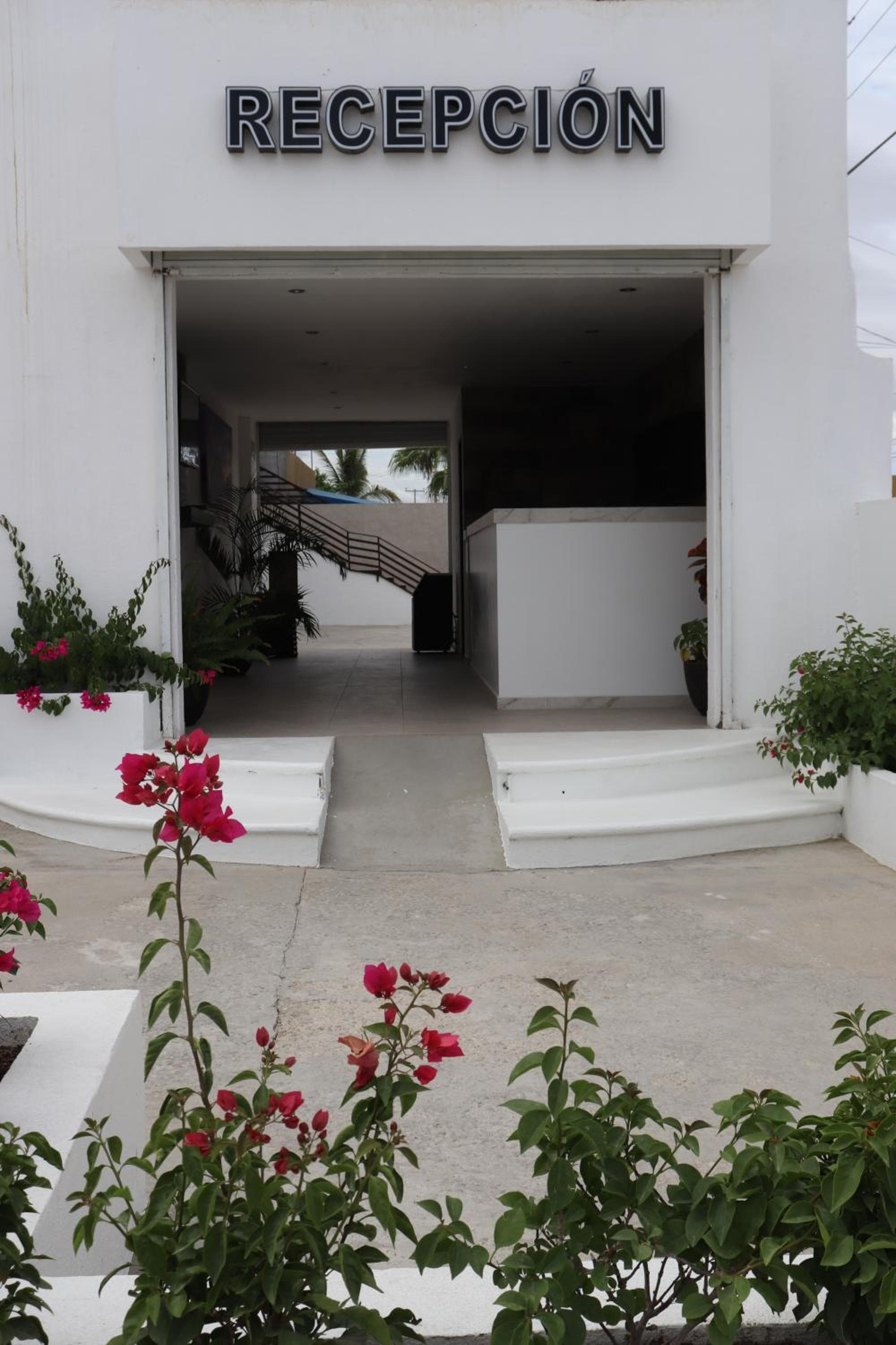 Capital O Hotel Jazuli, San Jose del Cabo