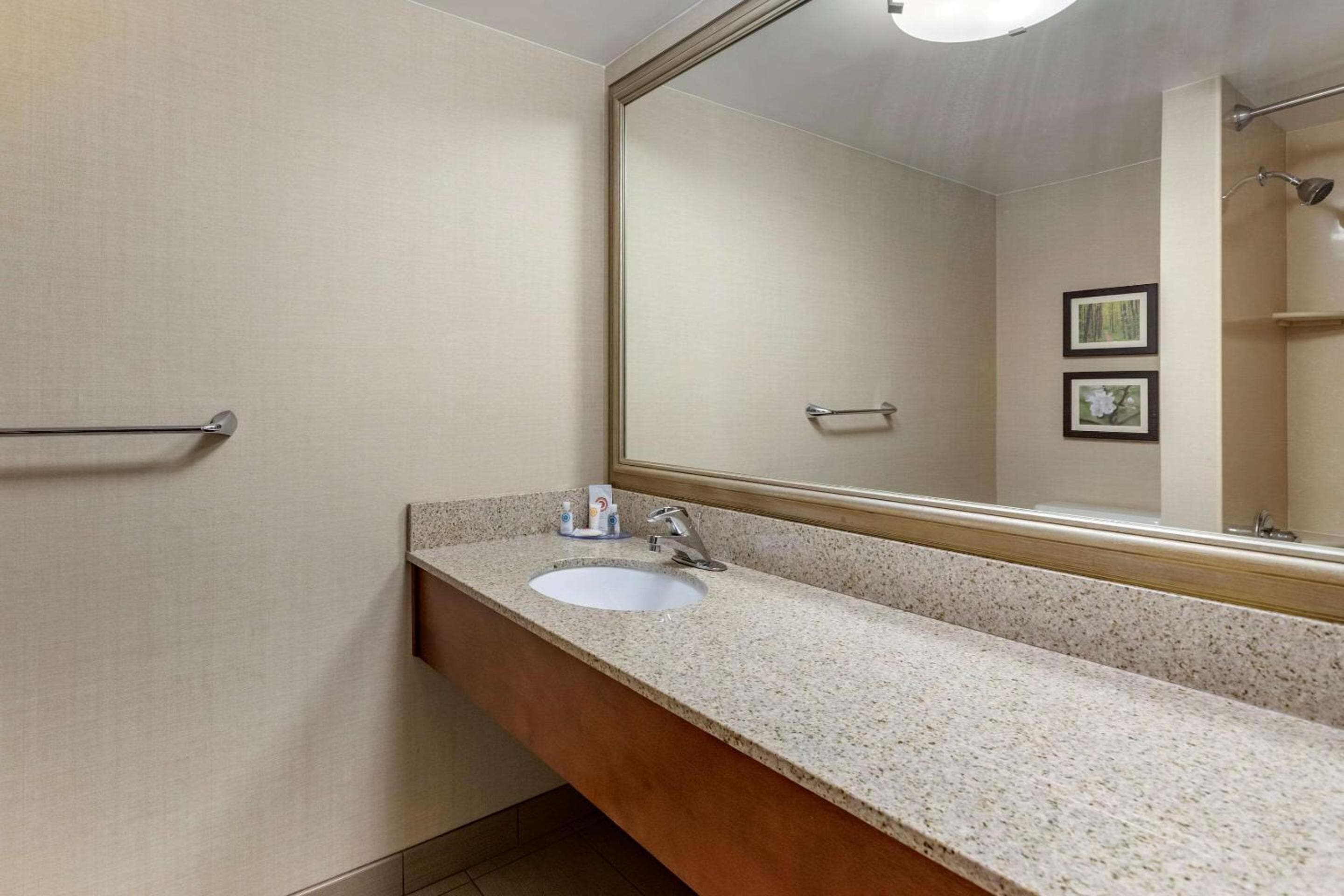 Comfort Inn Lansing West
