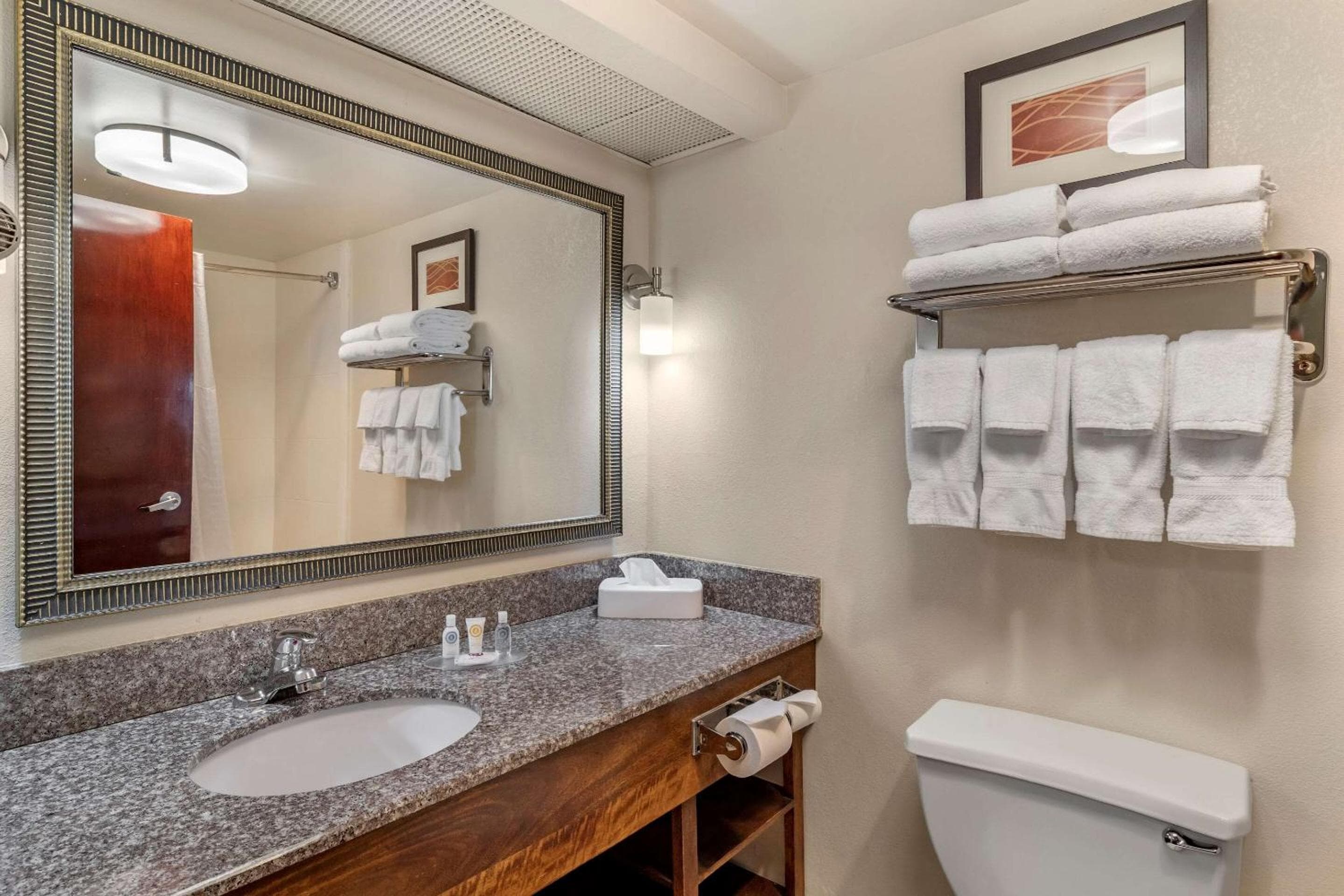 Comfort Inn & Suites Athens North