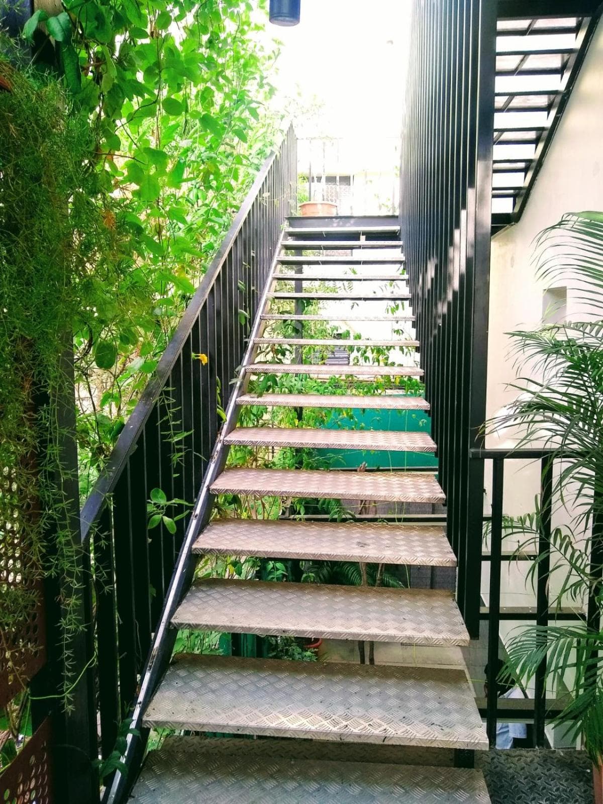 Avea Accommodation