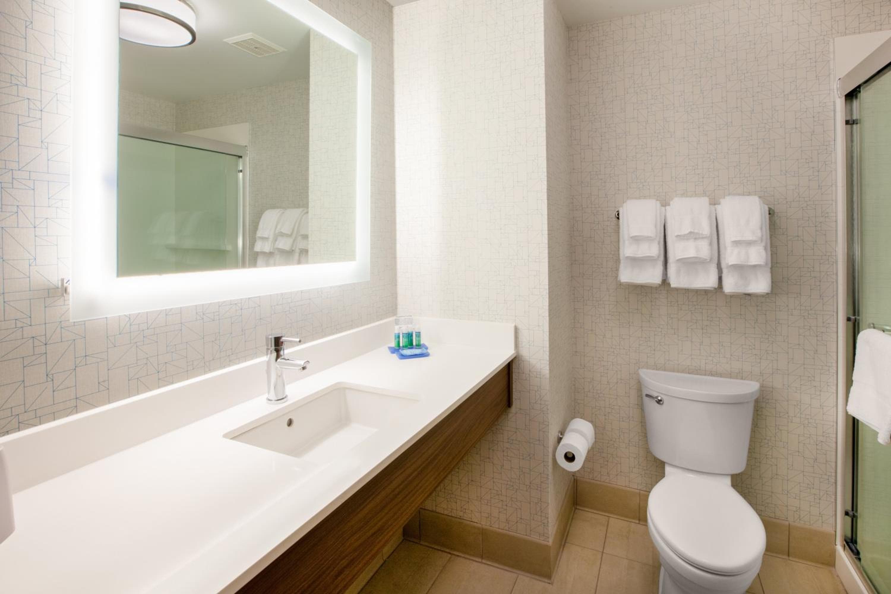 Holiday Inn Express & Suites Asheville Downtown by IHG