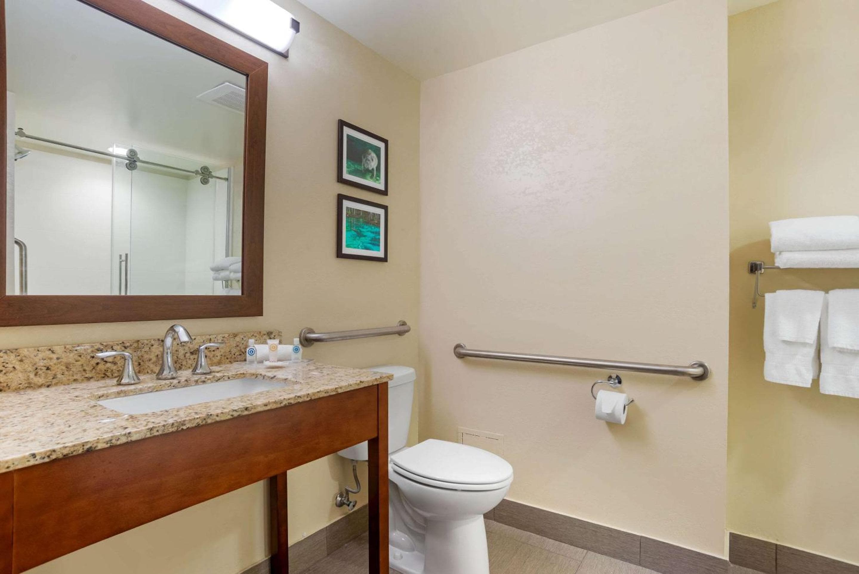 Comfort Suites Tallahassee Capitol - University Area
