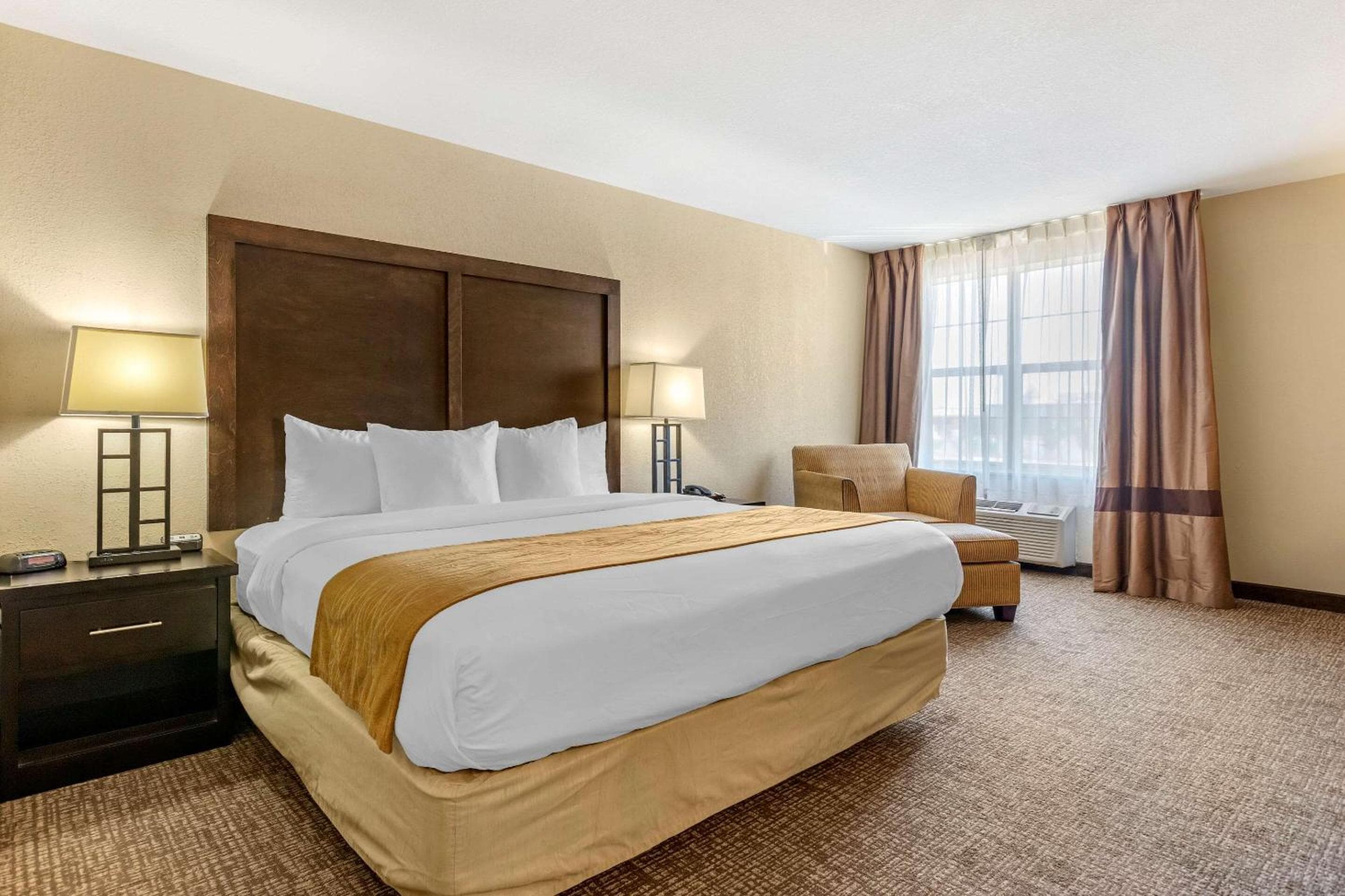 Comfort Inn & Suites Allen Park - Dearborn