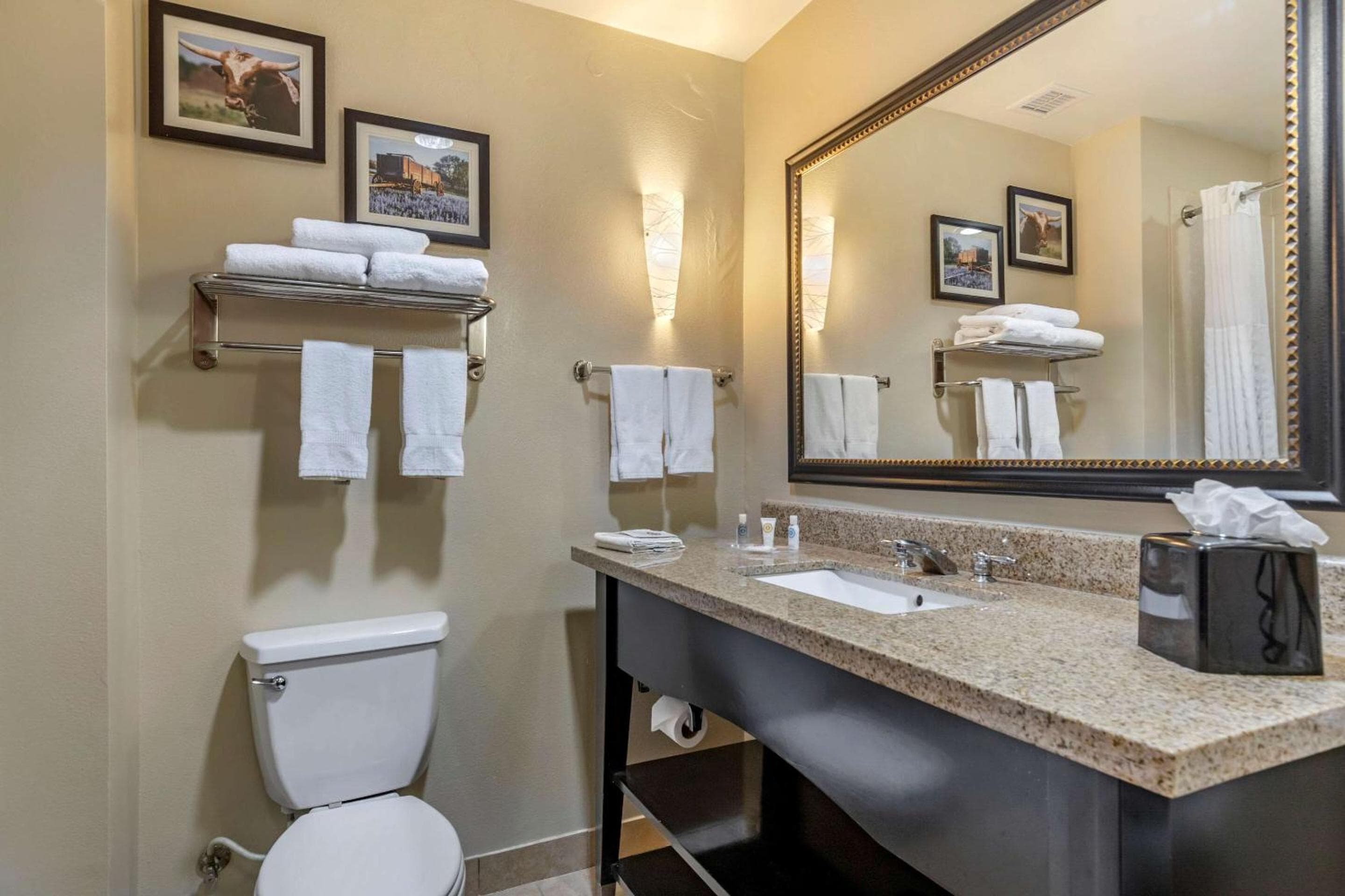 Comfort Suites Buda - Austin South