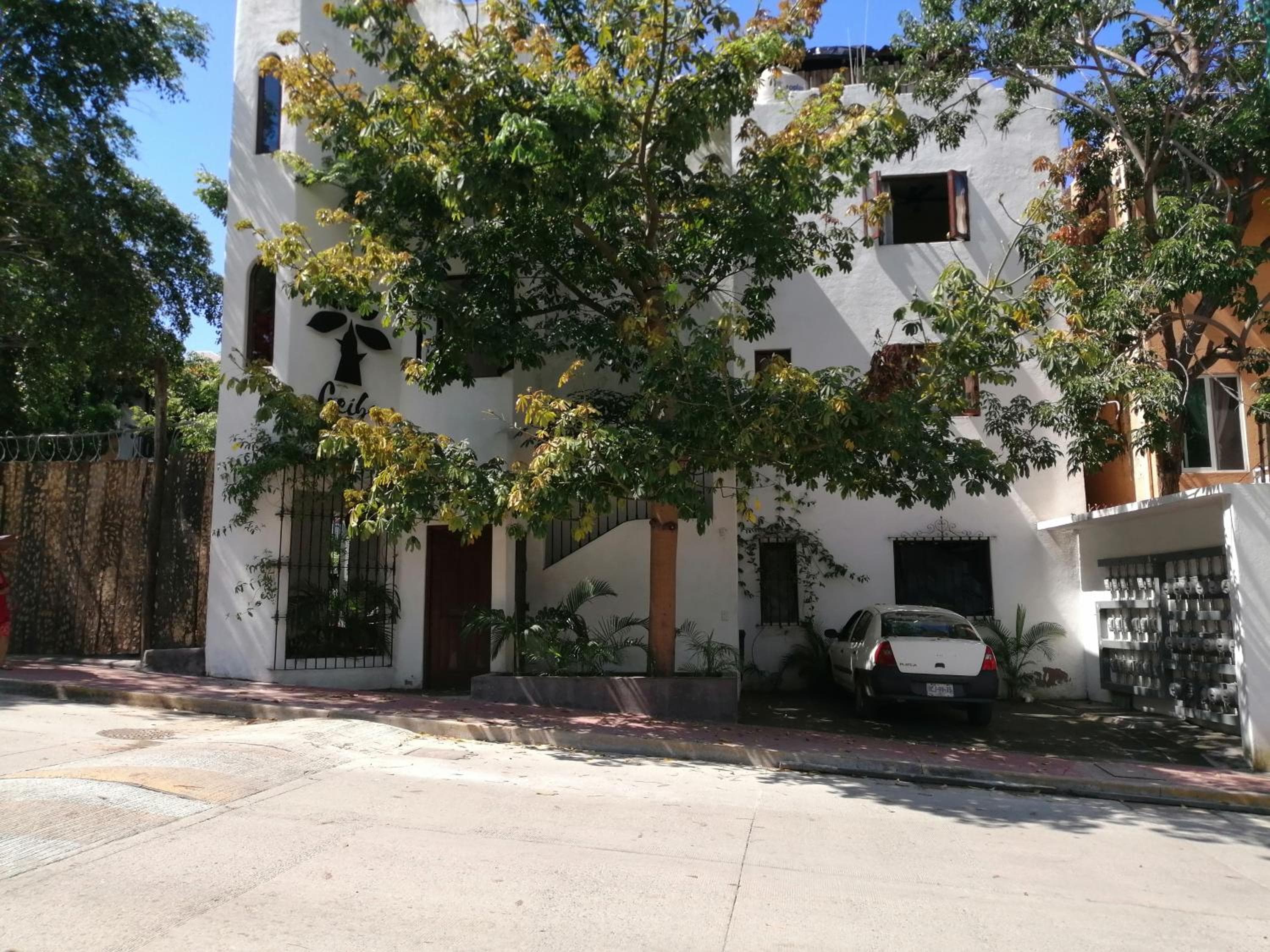 Ceiba Studios