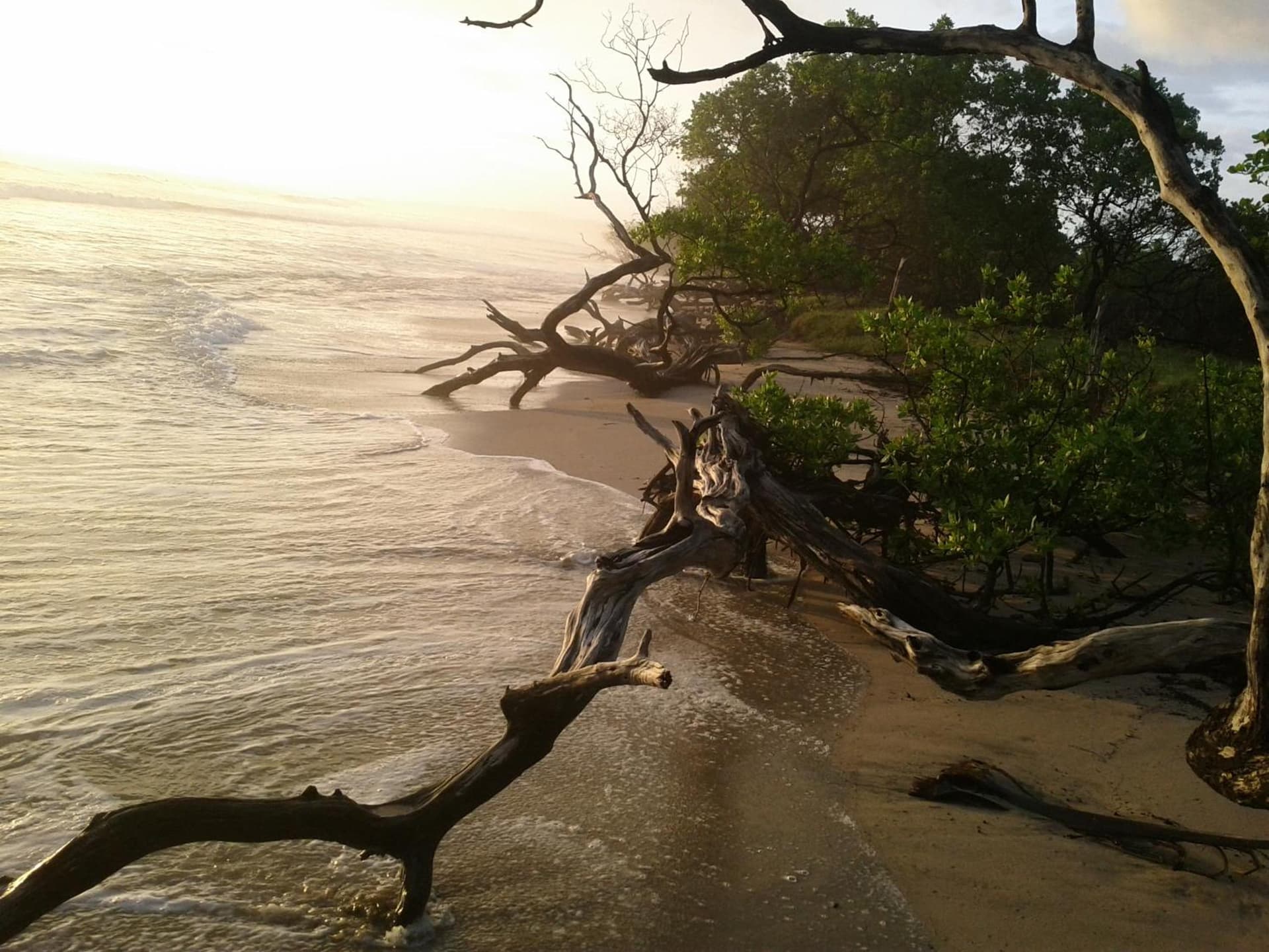 Cabinas Las Olas