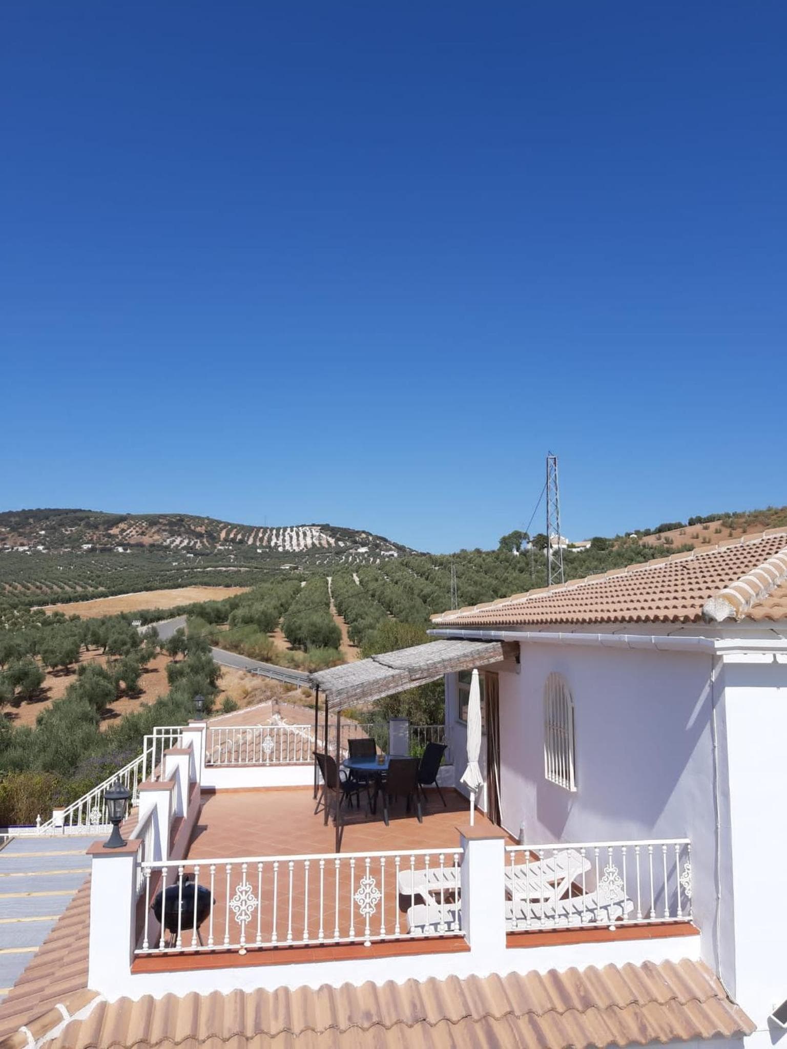 Casa Pino Solo