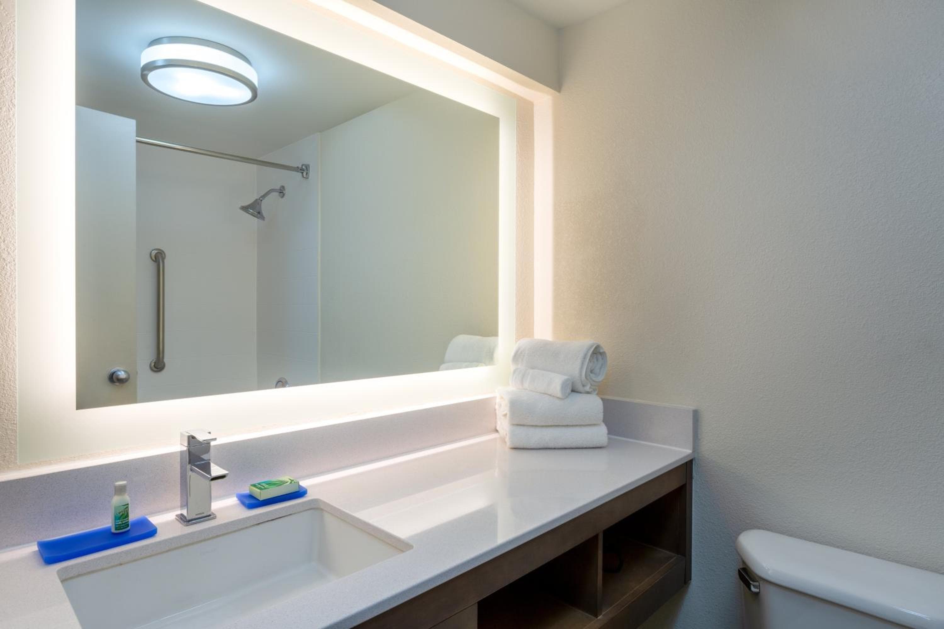Holiday Inn Express Hotel & Suites Philadelphia - King of Prussia by IHG