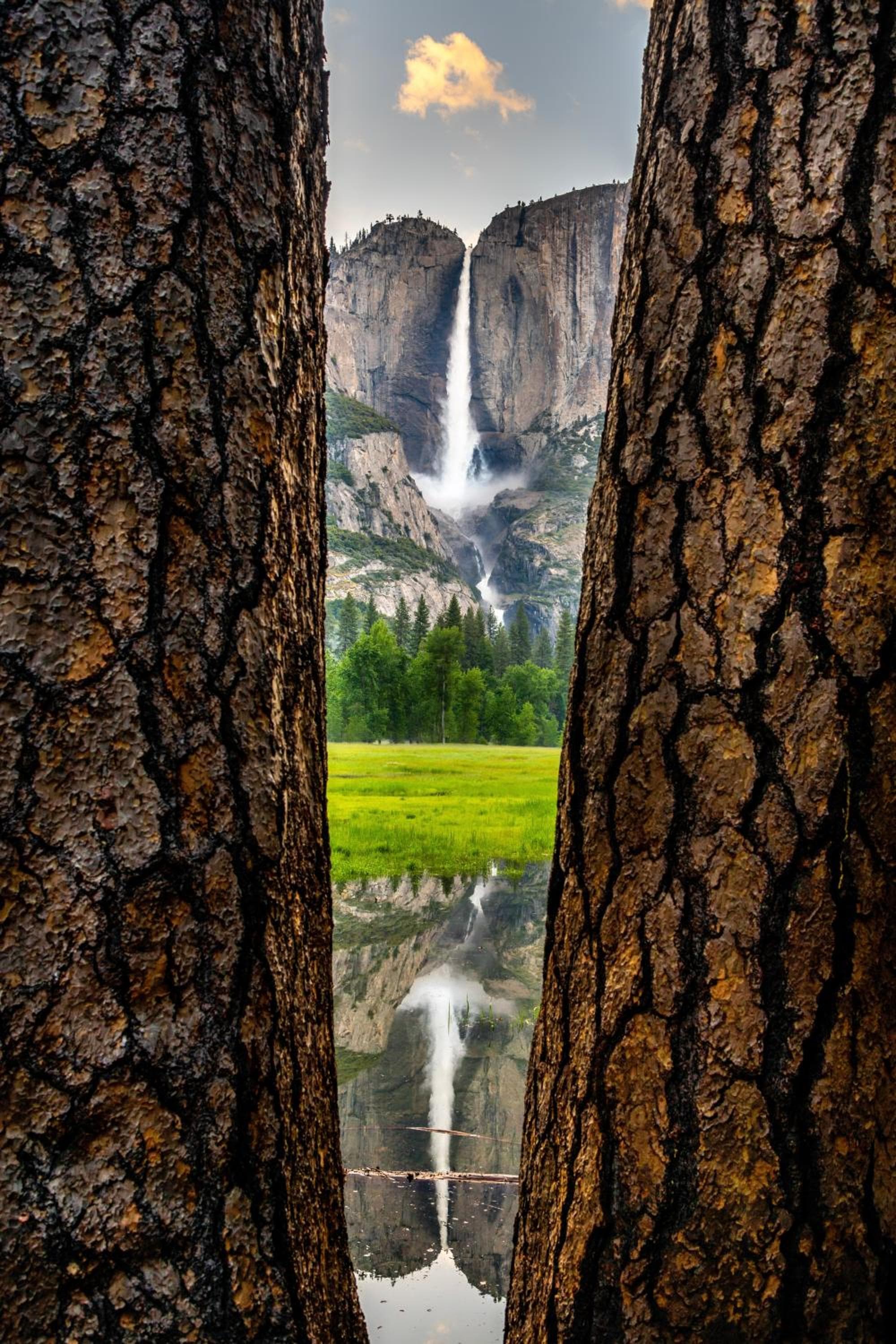 Yosemite Valley Lodge