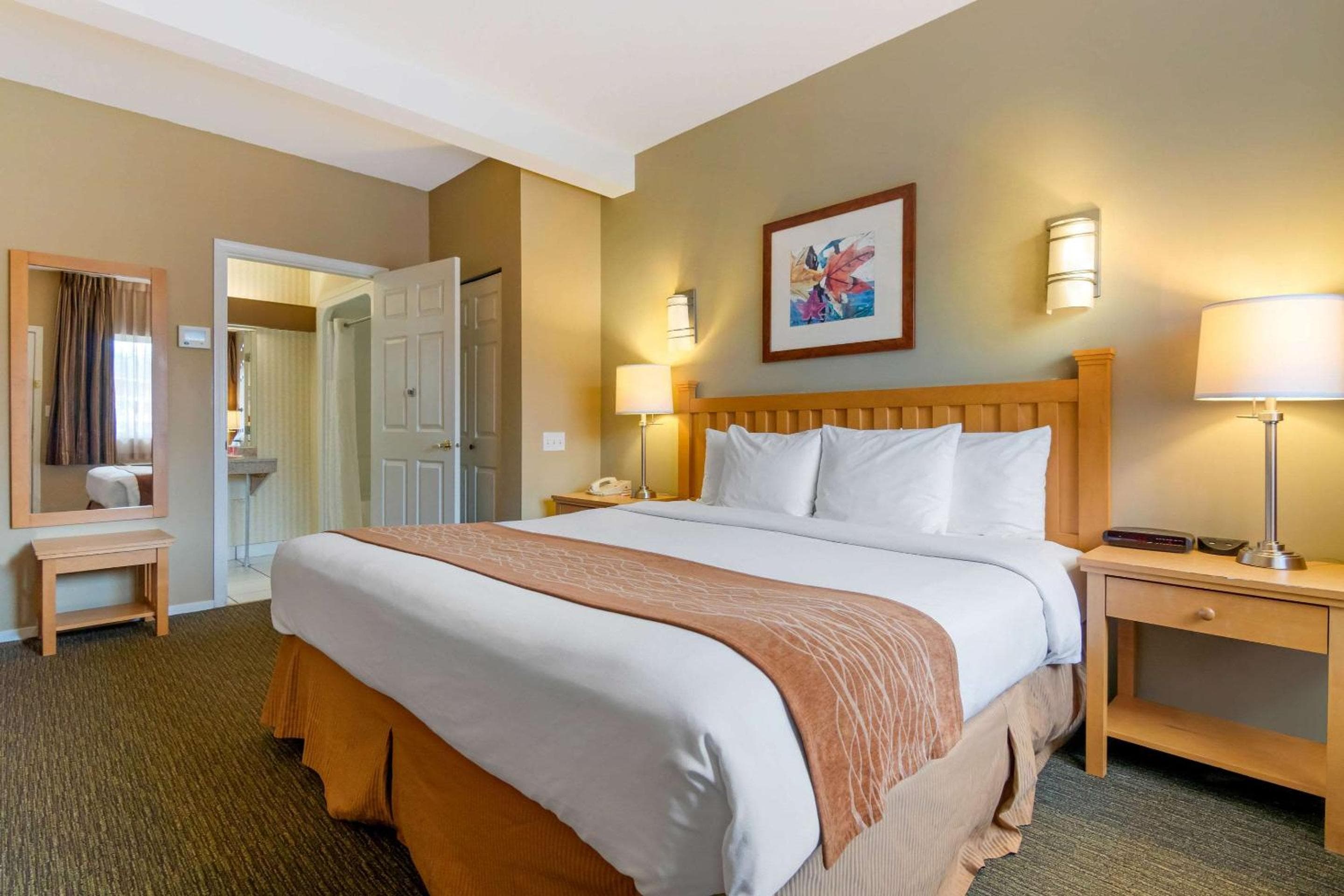 Econo Lodge Inn & Suites