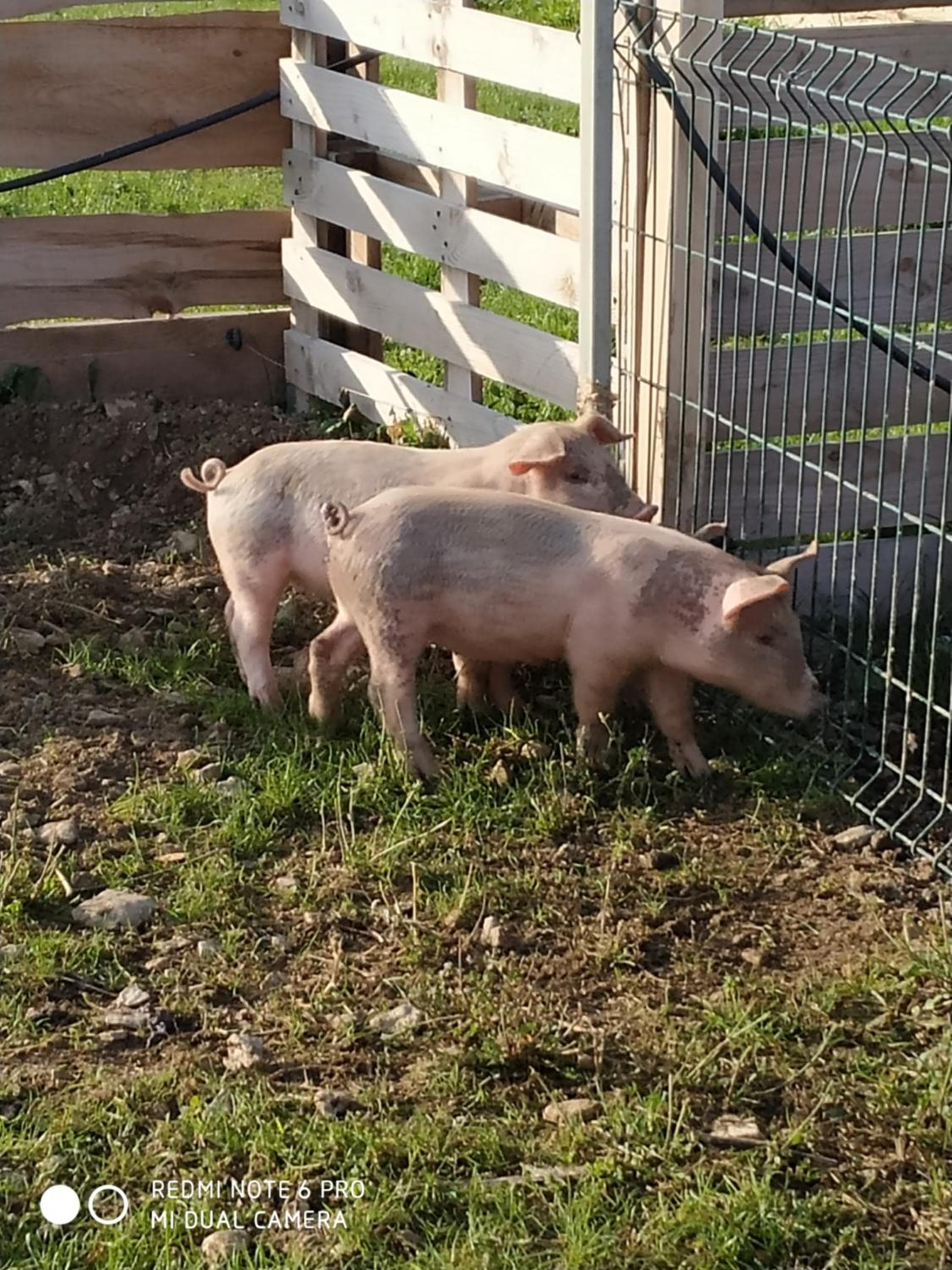 Gîte à la ferme