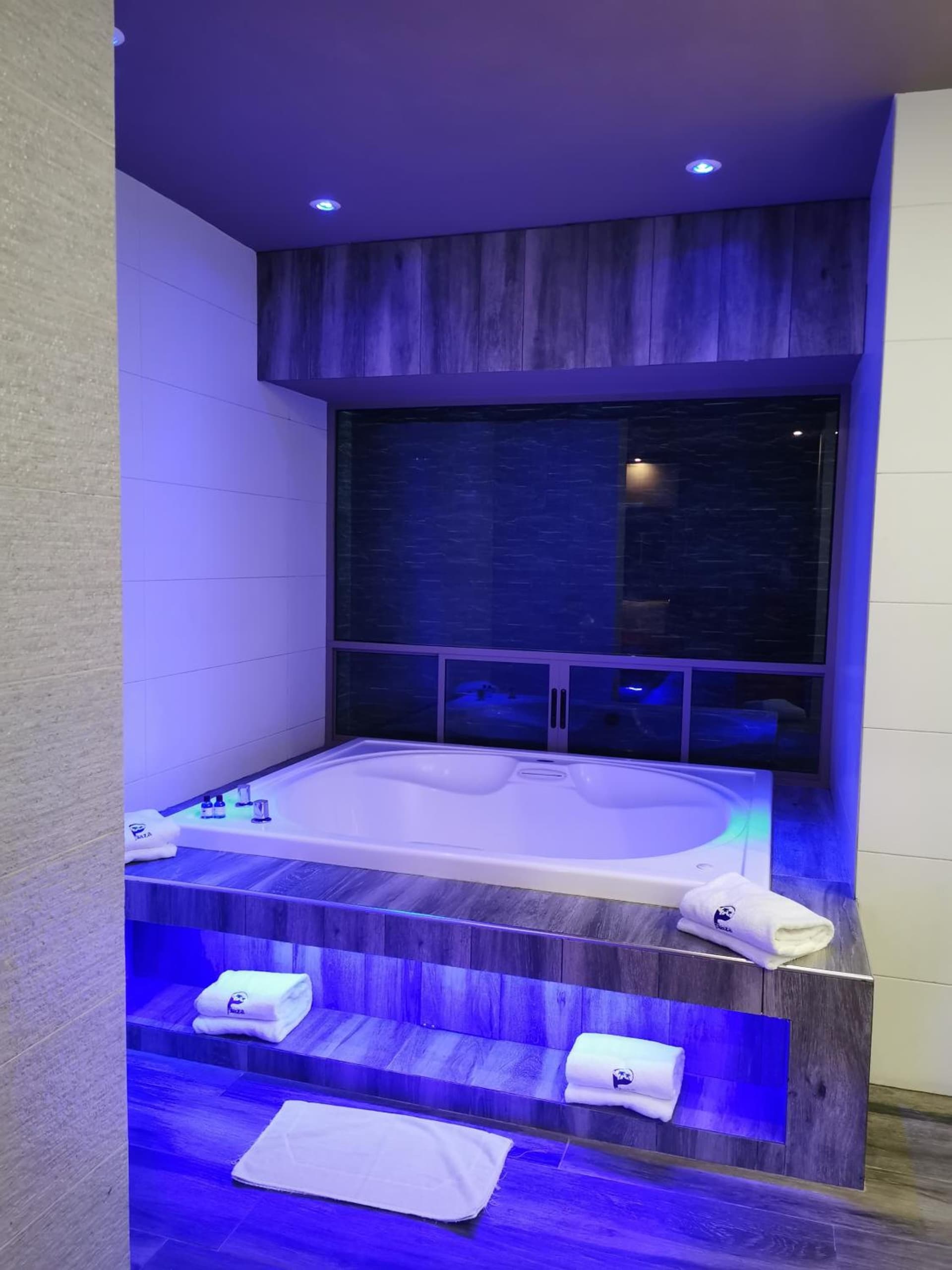 Hotel Plaza Arteaga