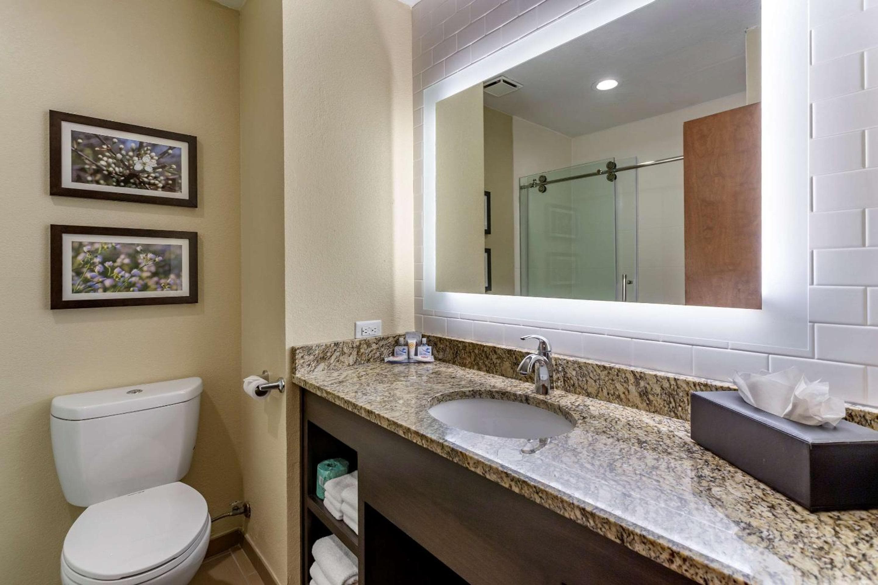 Comfort Inn St Robert-Fort Leonard Wood