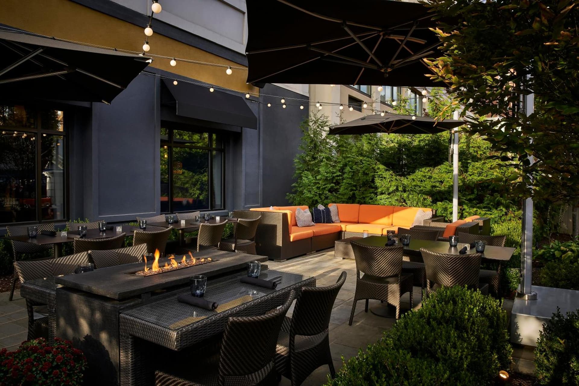 The Darcy Hotel, Washington DC